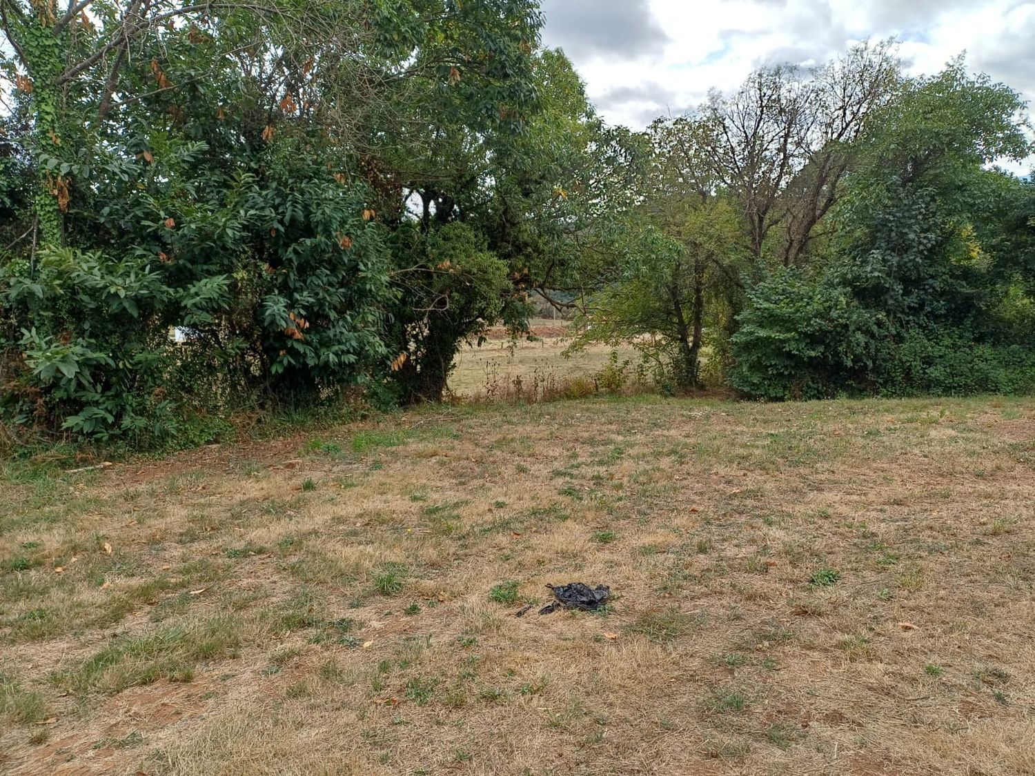 Fincas y solares-Venta-Las Regueras-1845963-Foto-14
