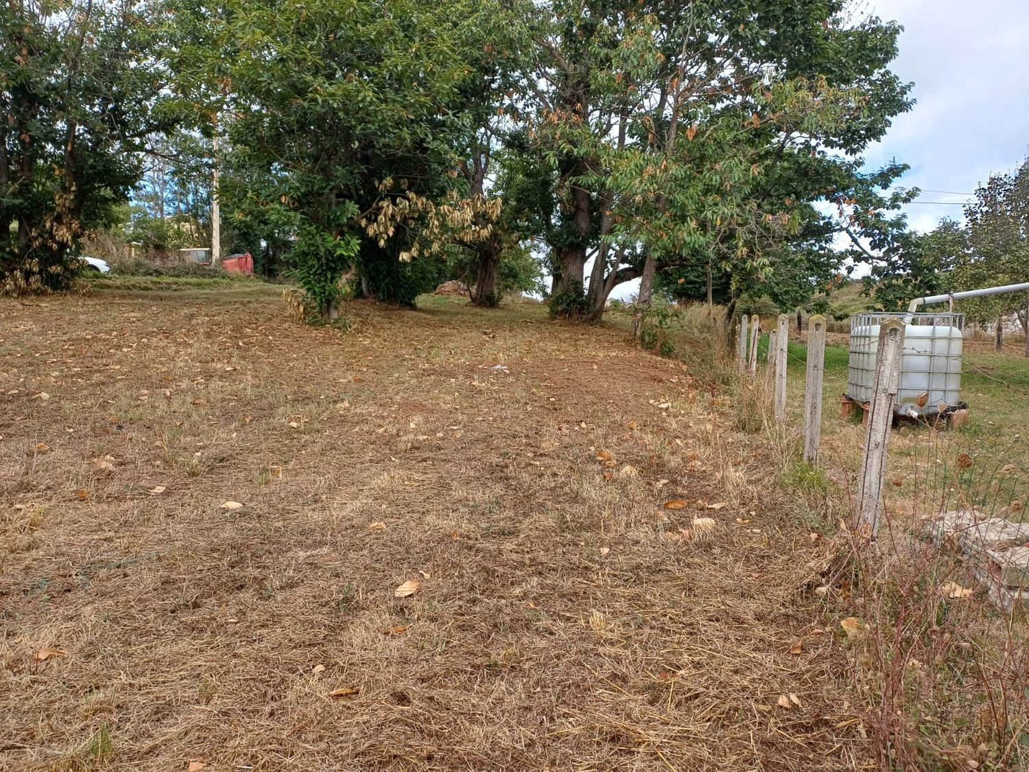 Fincas y solares-Venta-Las Regueras-1845966-Foto-2