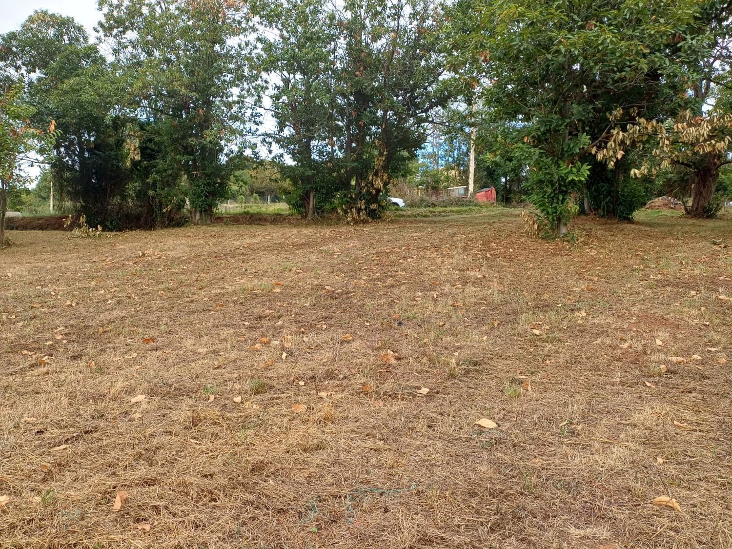 Fincas y solares-Venta-Las Regueras-1845963-Foto-15