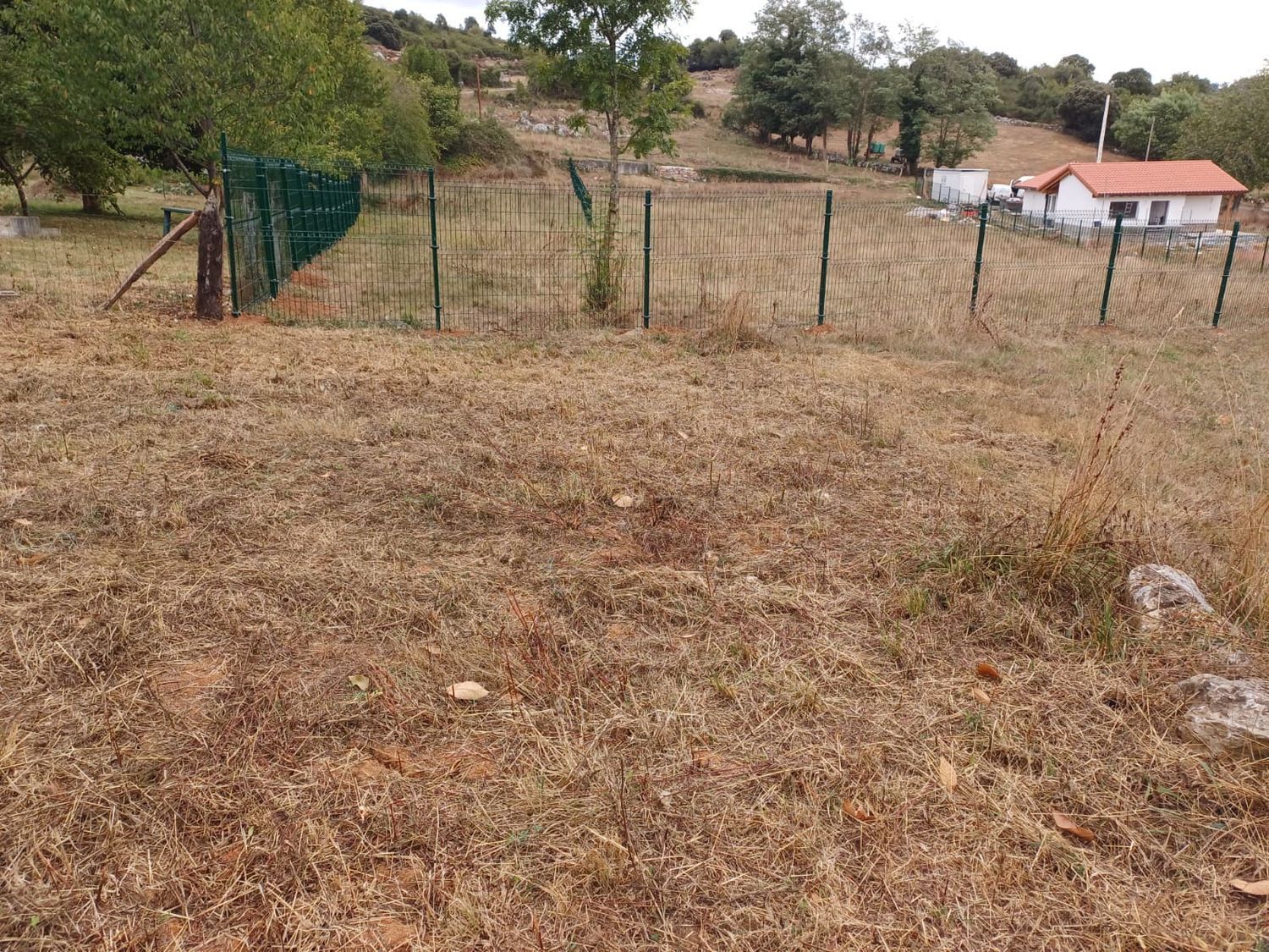 Fincas y solares-Venta-Las Regueras-1845966-Foto-9
