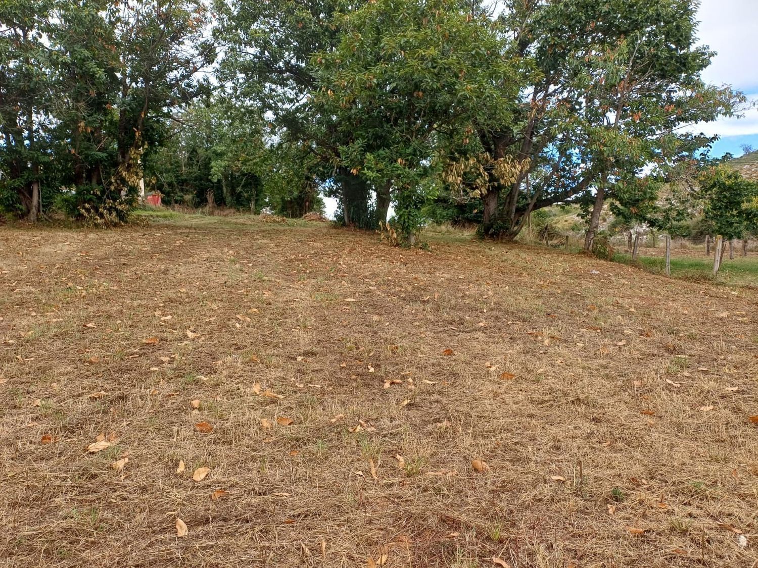 Fincas y solares-Venta-Las Regueras-1845966-Foto-8