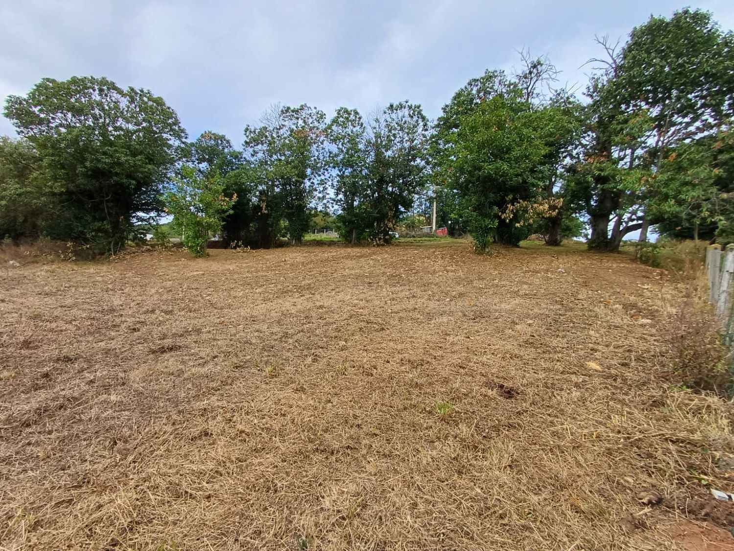 Fincas y solares-Venta-Las Regueras-1845966-Foto-3