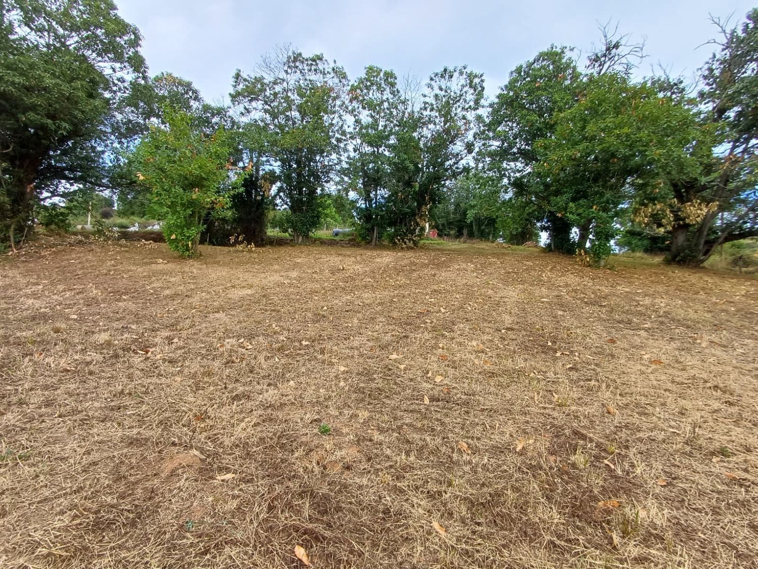 Fincas y solares-Venta-Las Regueras-1845966-Foto-7
