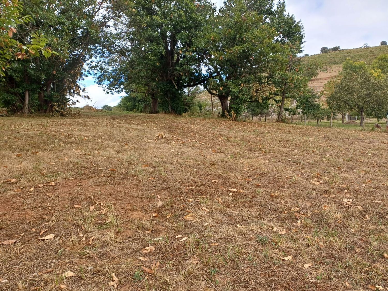Fincas y solares-Venta-Las Regueras-1845966-Foto-14