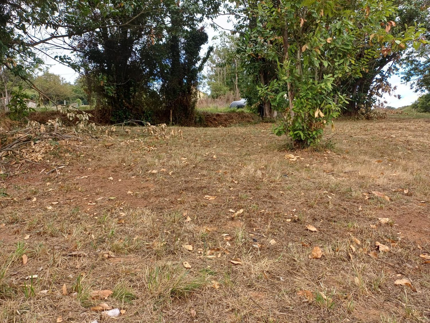 Fincas y solares-Venta-Las Regueras-1845966-Foto-18