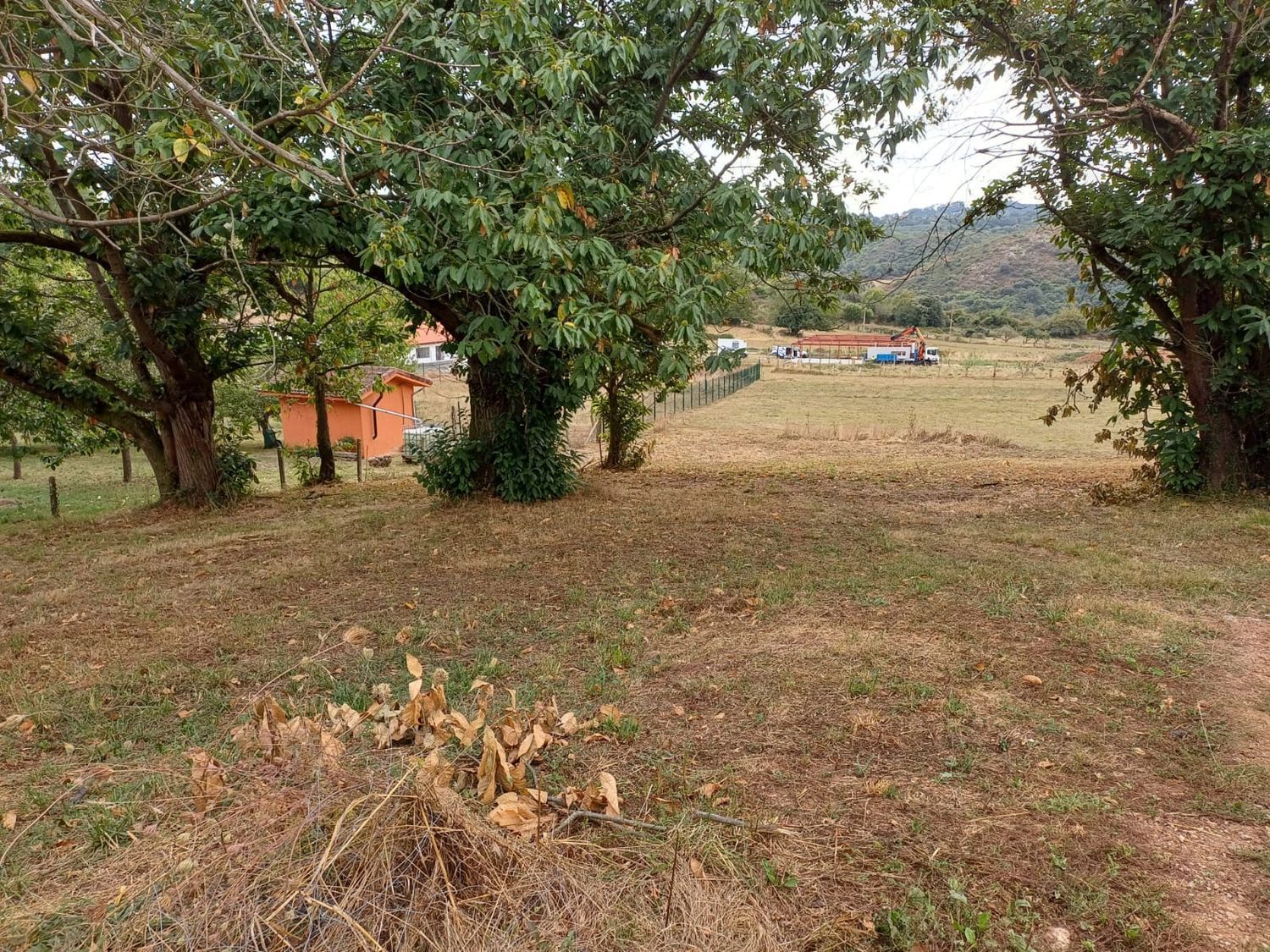 Fincas y solares-Venta-Las Regueras-1845966-Foto-19