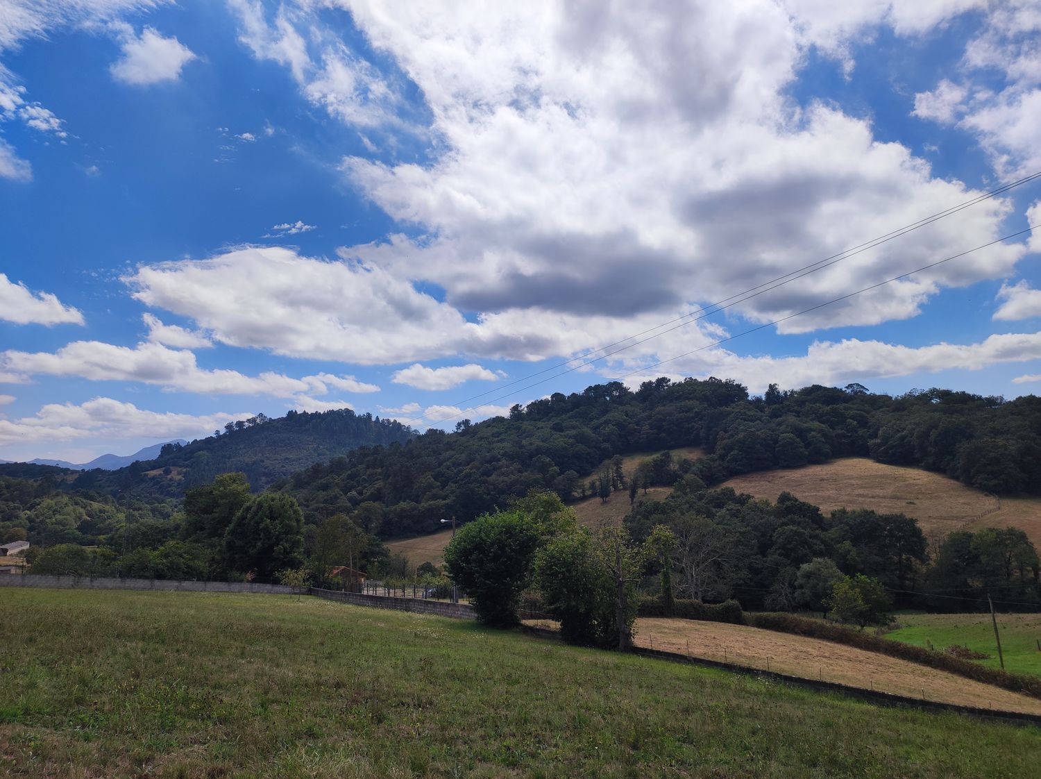 Fincas y solares-Venta-Siero-1834076-Foto-3