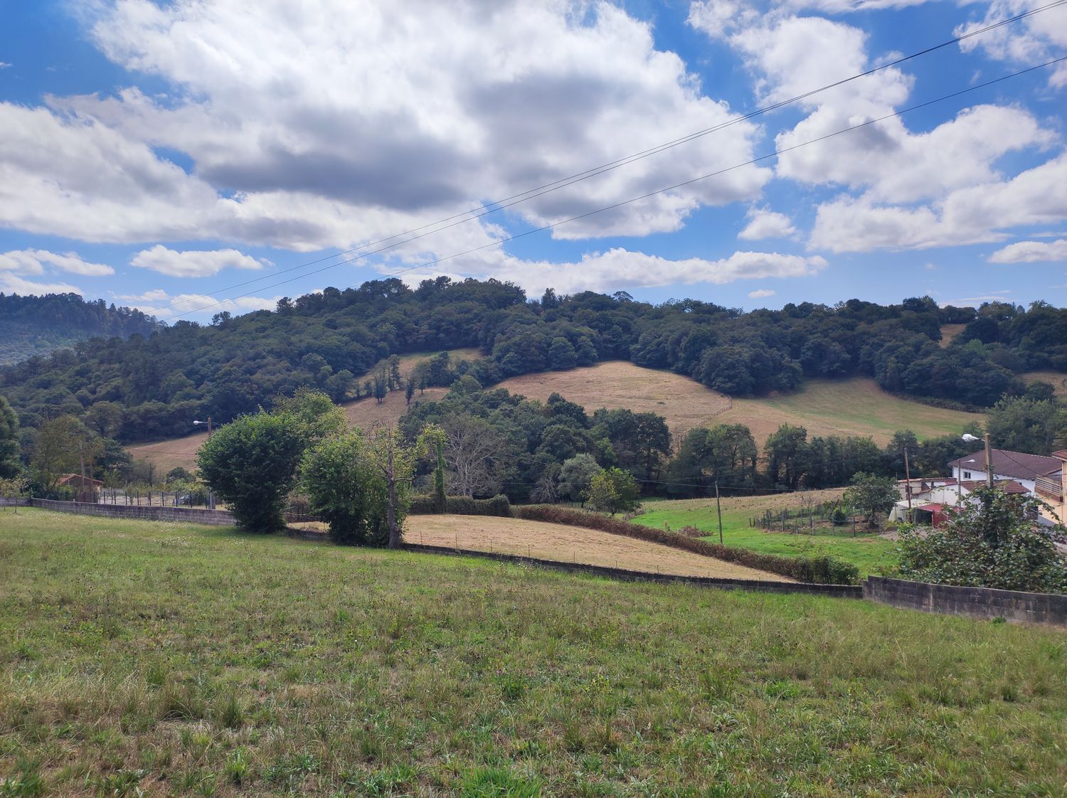 Fincas y solares-Venta-Siero-1834076-Foto-2