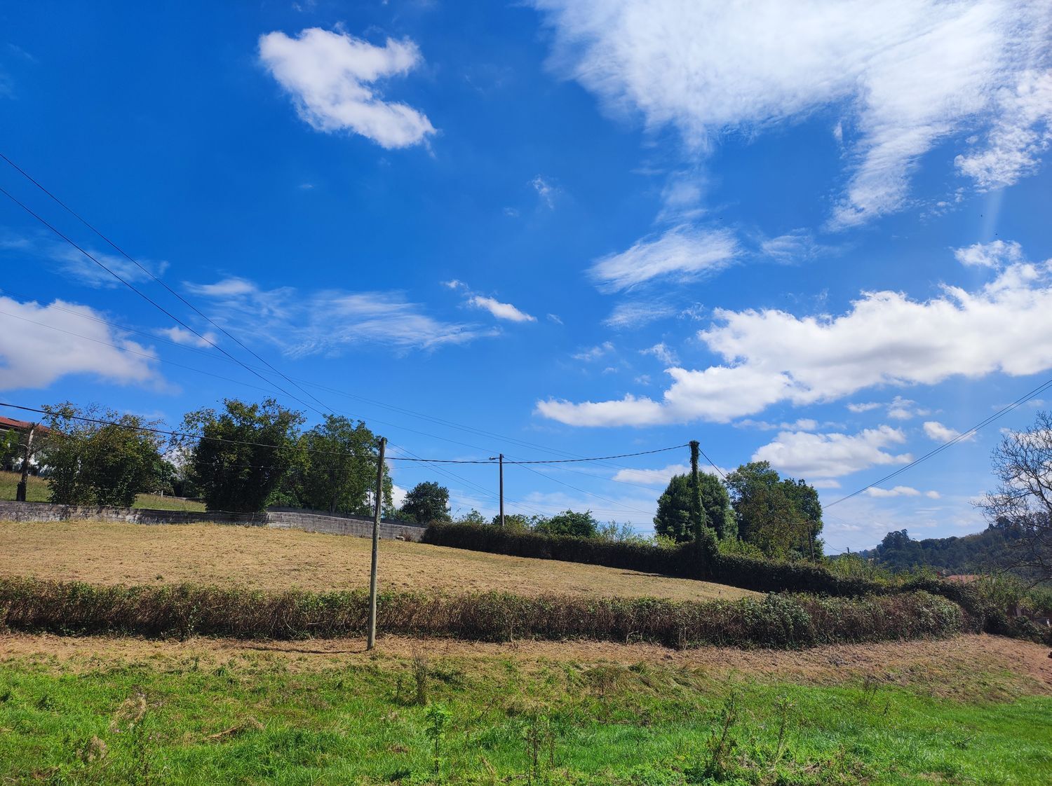 Fincas y solares-Venta-Siero-1834076-Foto-7