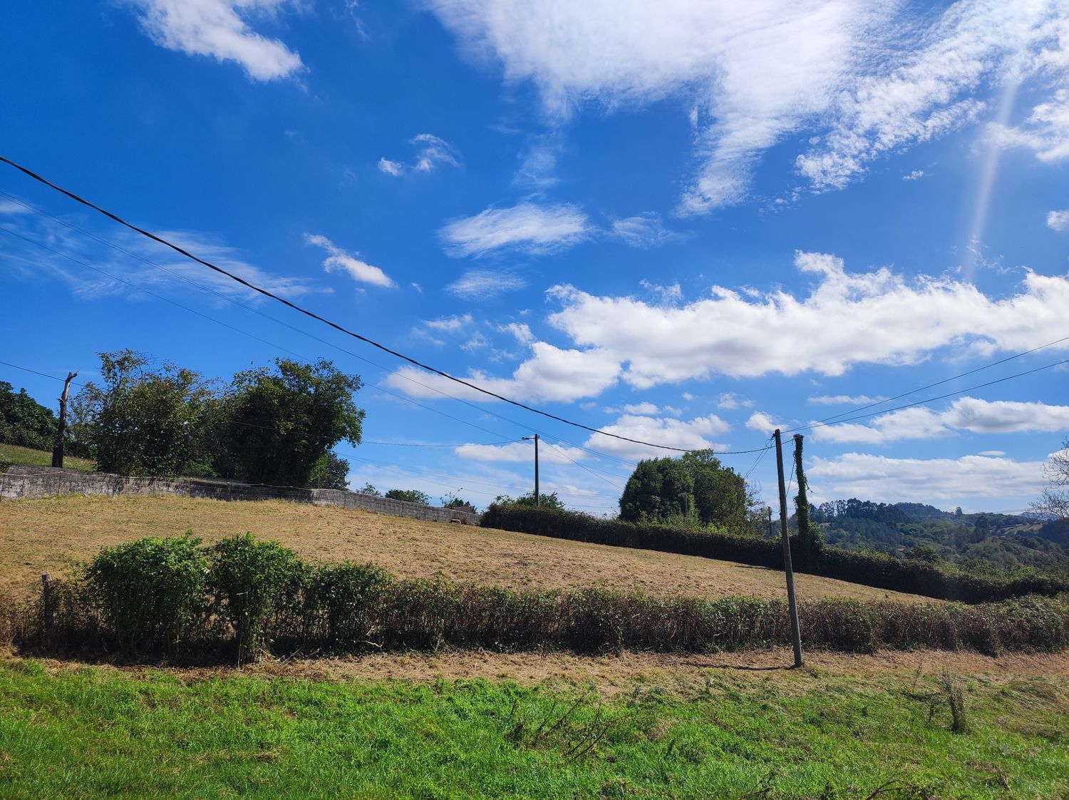 Fincas y solares-Venta-Siero-1834076-Foto-11