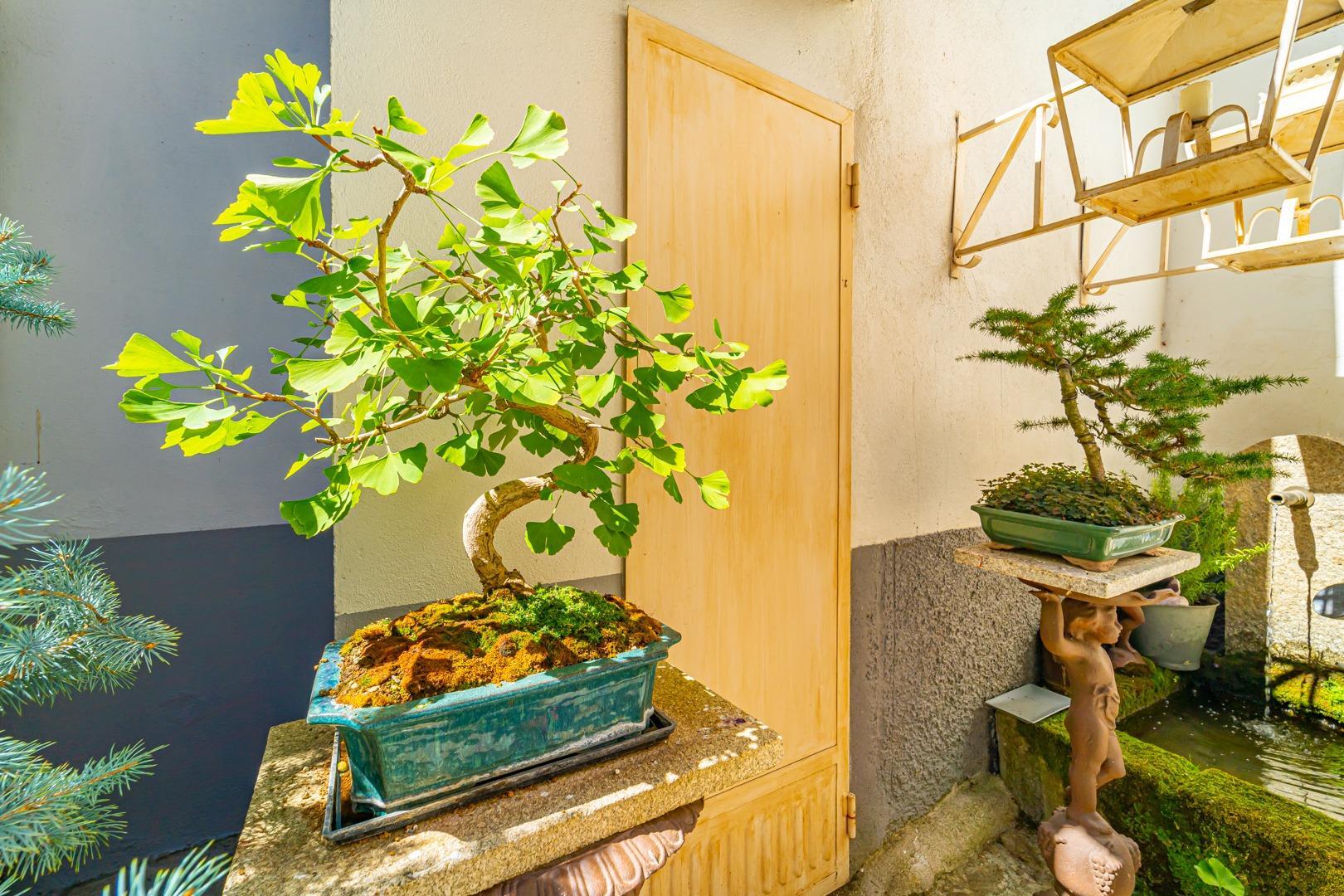 Pisos-Venta-Candelario-1412264-Foto-67