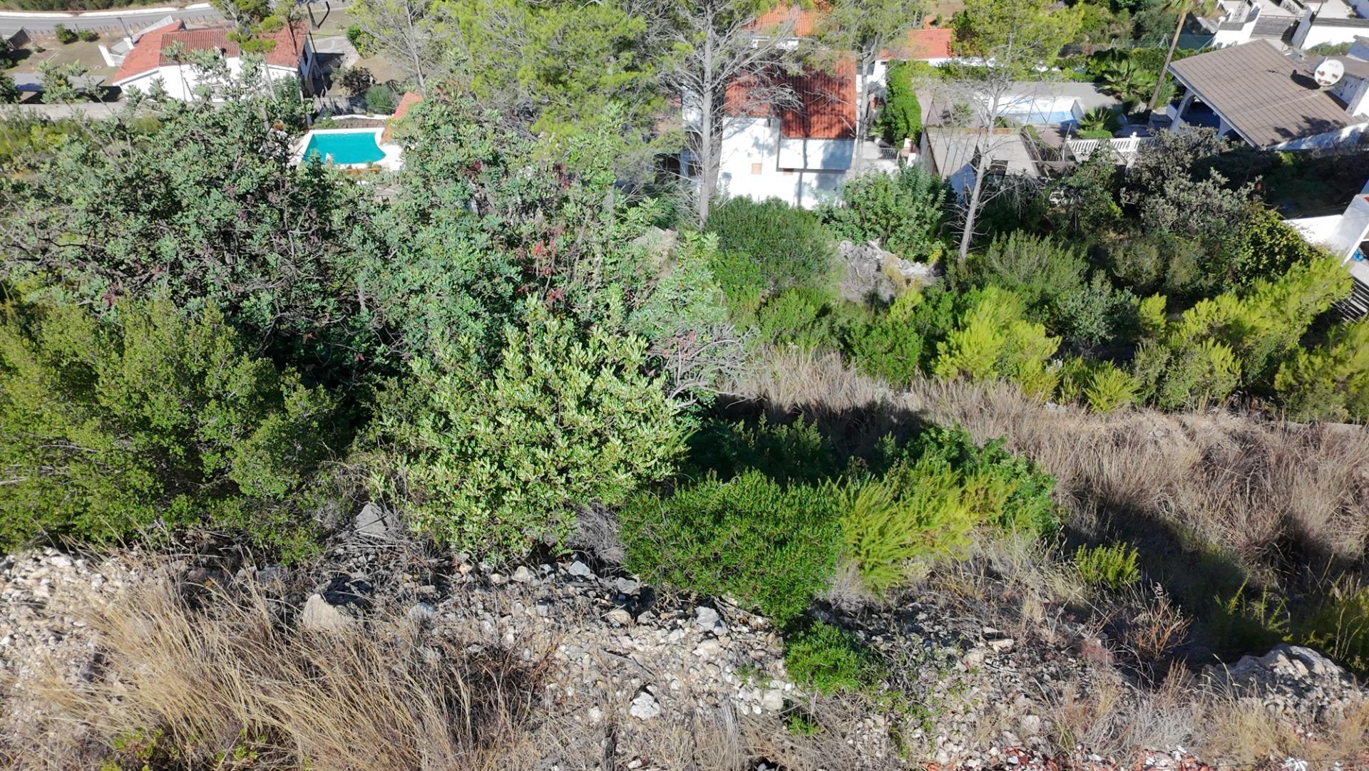 Fincas y solares-Venta-Gandia-1845987-Foto-10
