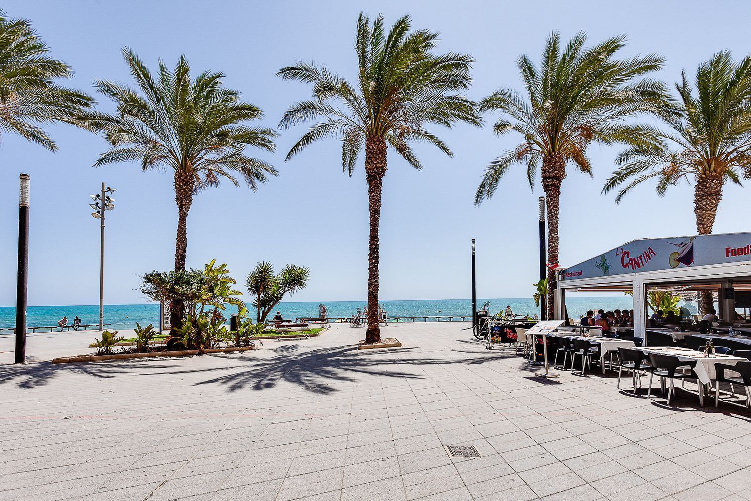 Pisos-Venta-Torrevieja-1846008-Foto-53