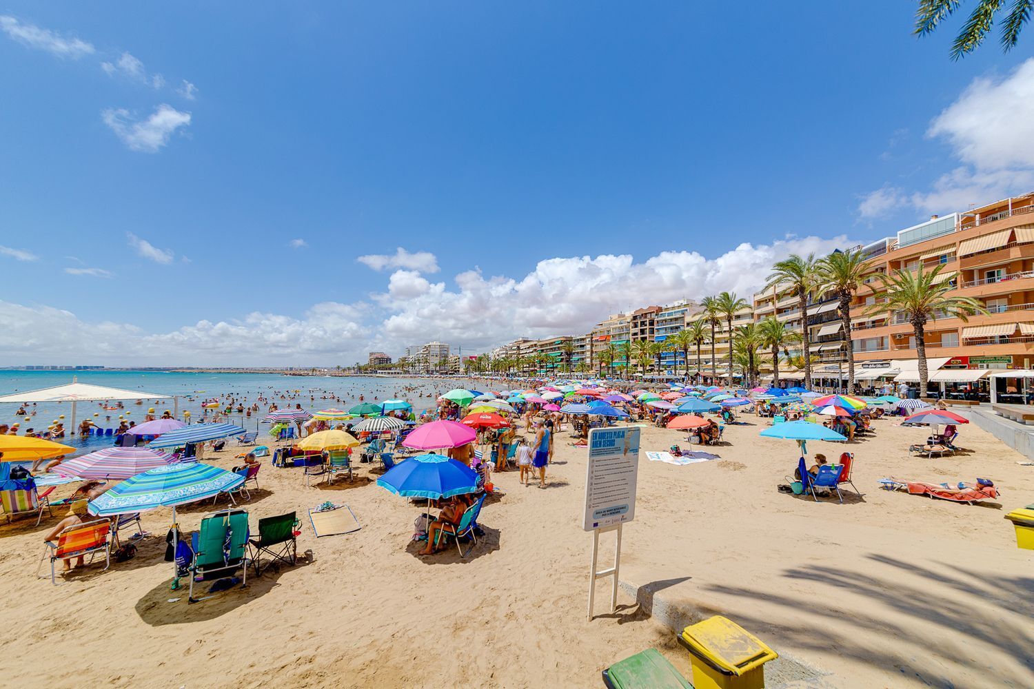 Pisos-Venta-Torrevieja-1846008-Foto-58