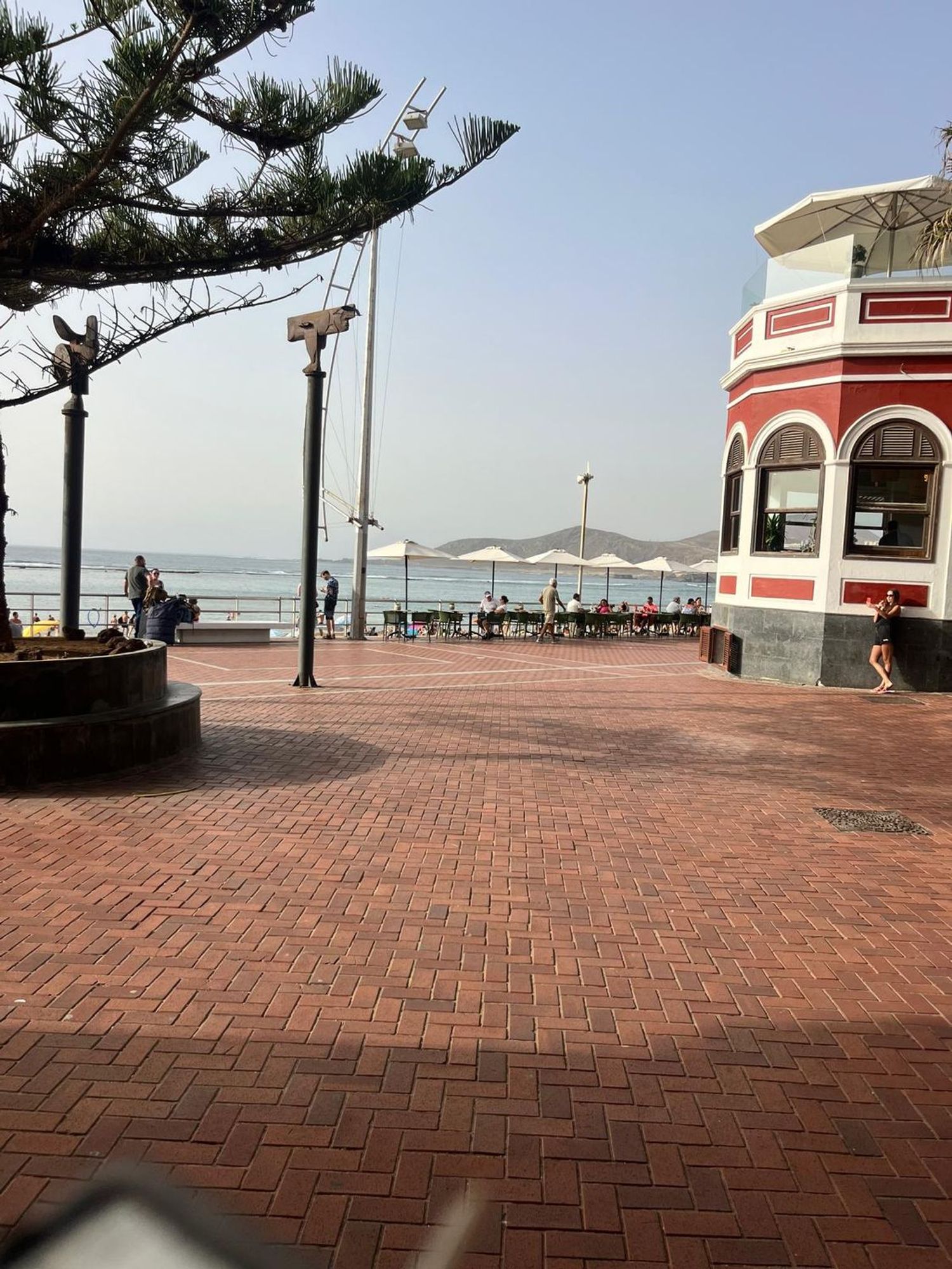 Pisos-Alquiler-Las Palmas de Gran Canaria-1846017-Foto-9