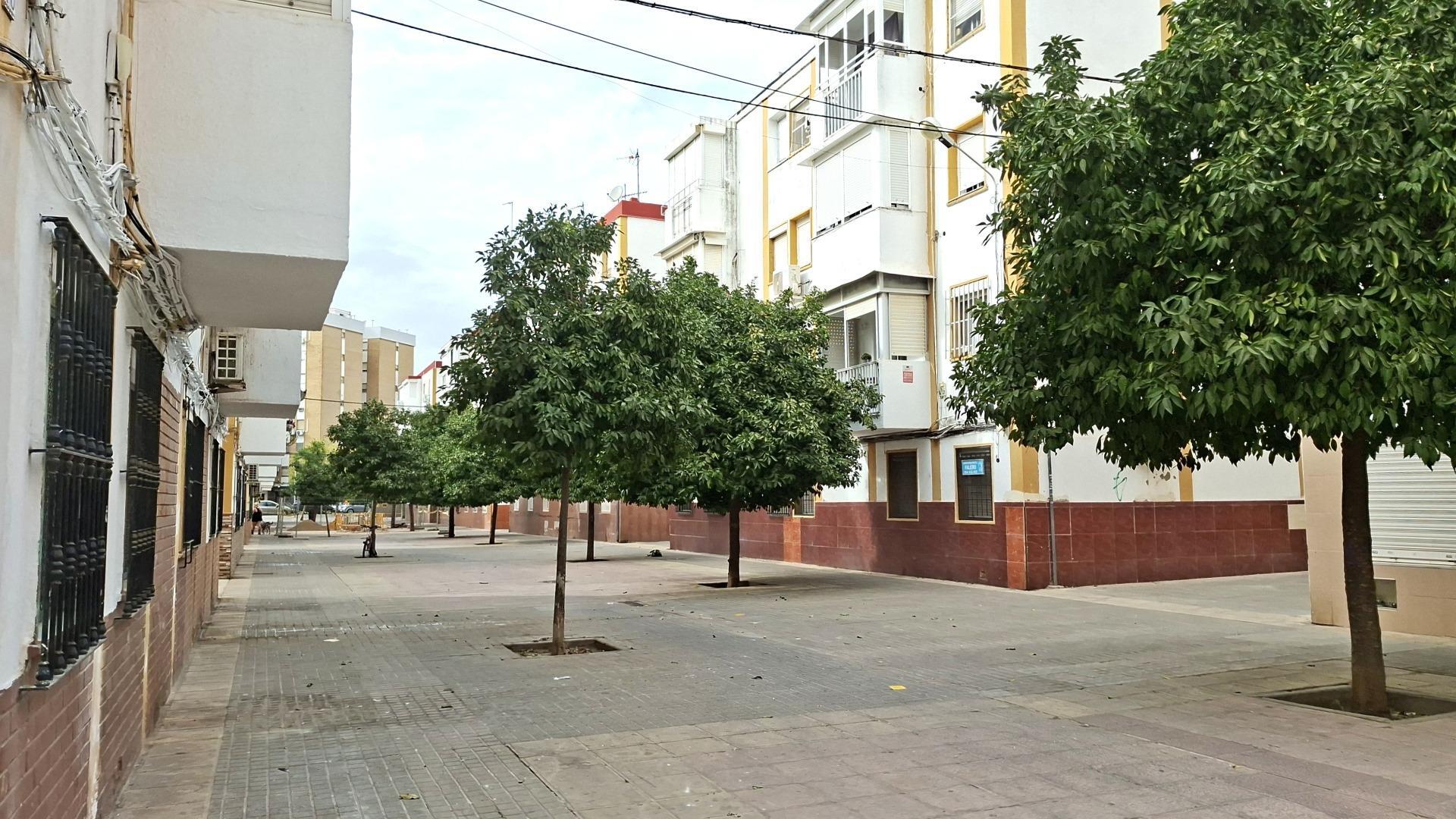 Pisos-Venta-Burguillos-1842816-Foto-10