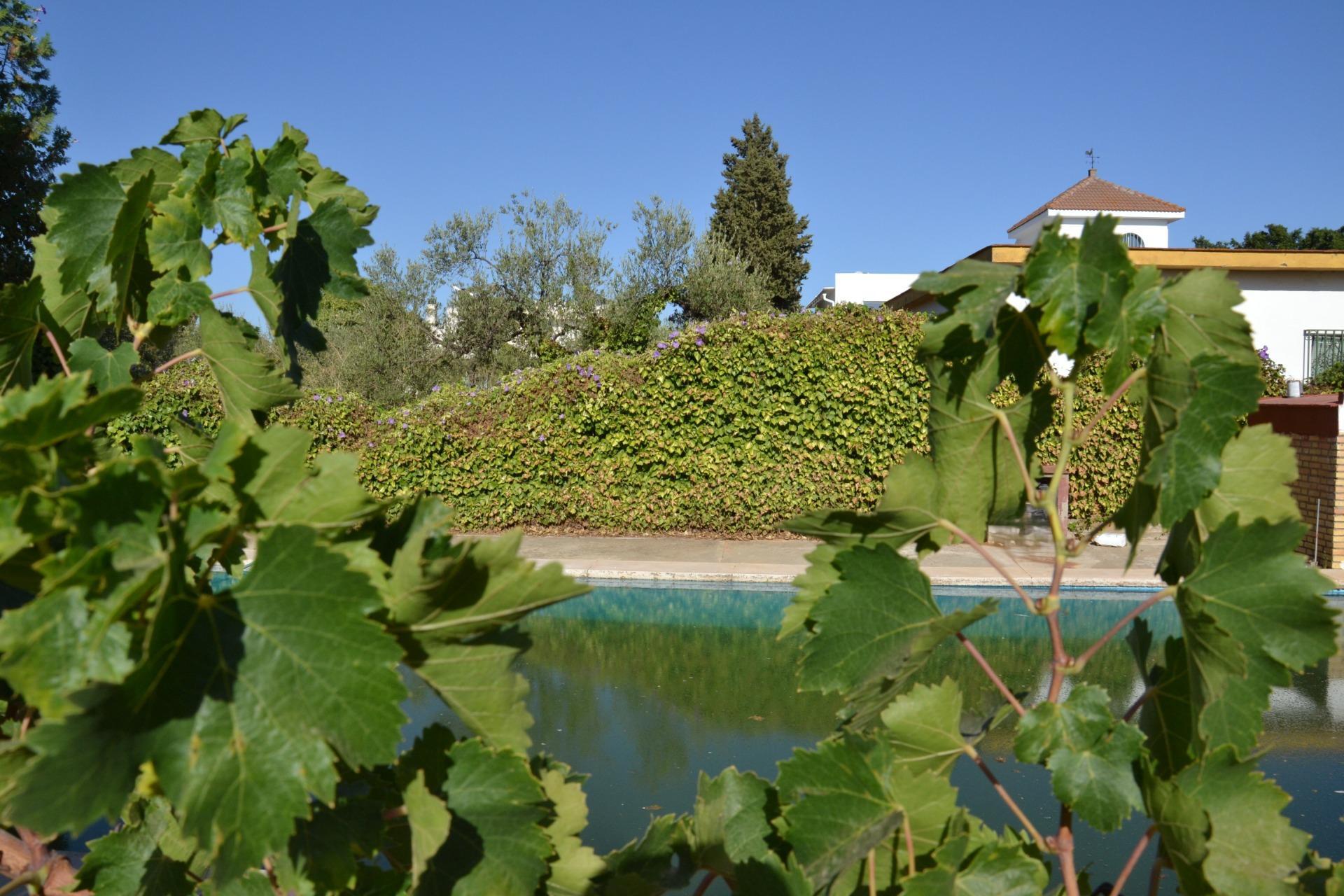 Fincas y solares-Venta-1867051