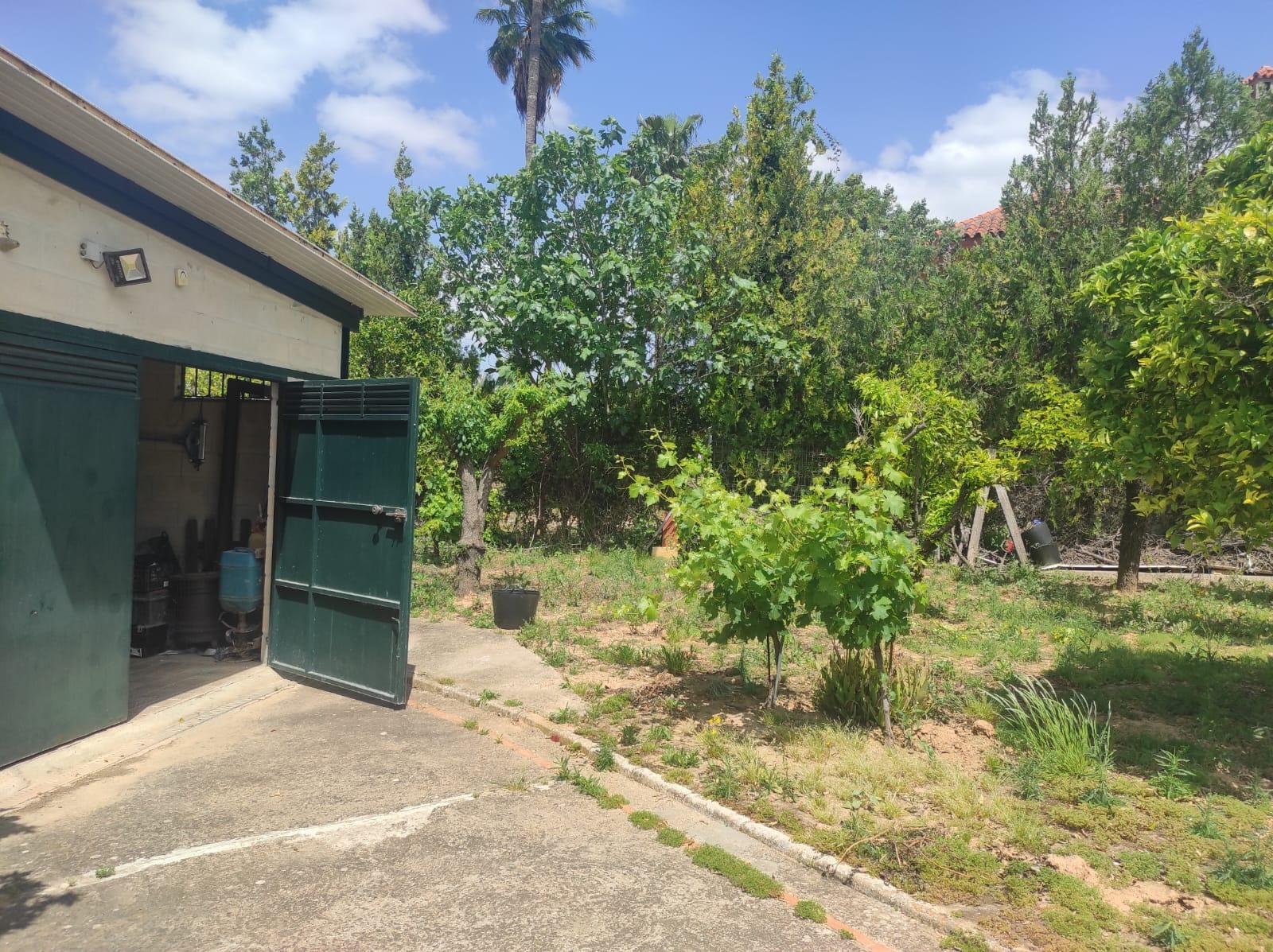 Fincas y solares-Venta-Espartinas-1867051-Foto-5