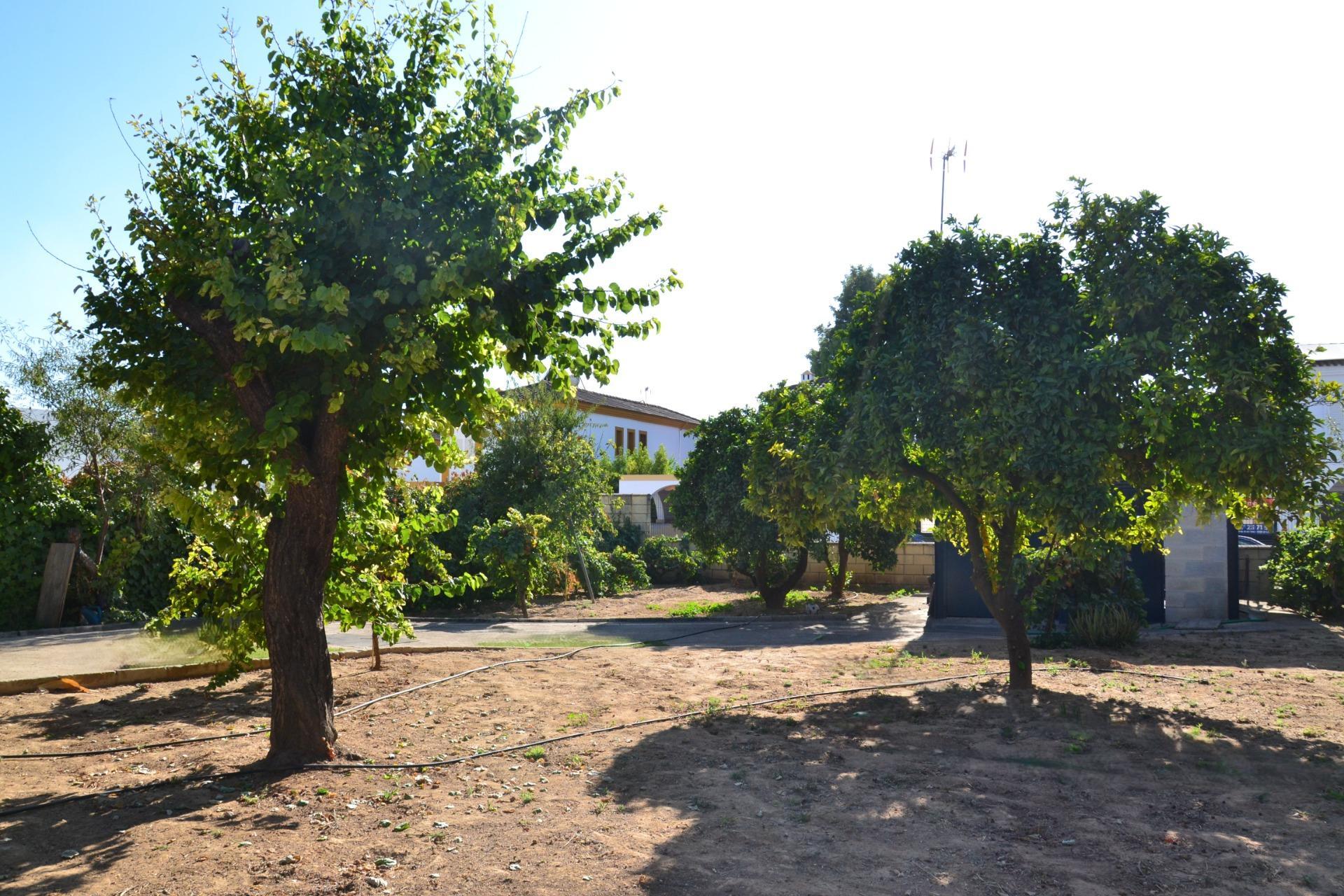 Fincas y solares-Venta-Espartinas-1867051-Foto-7