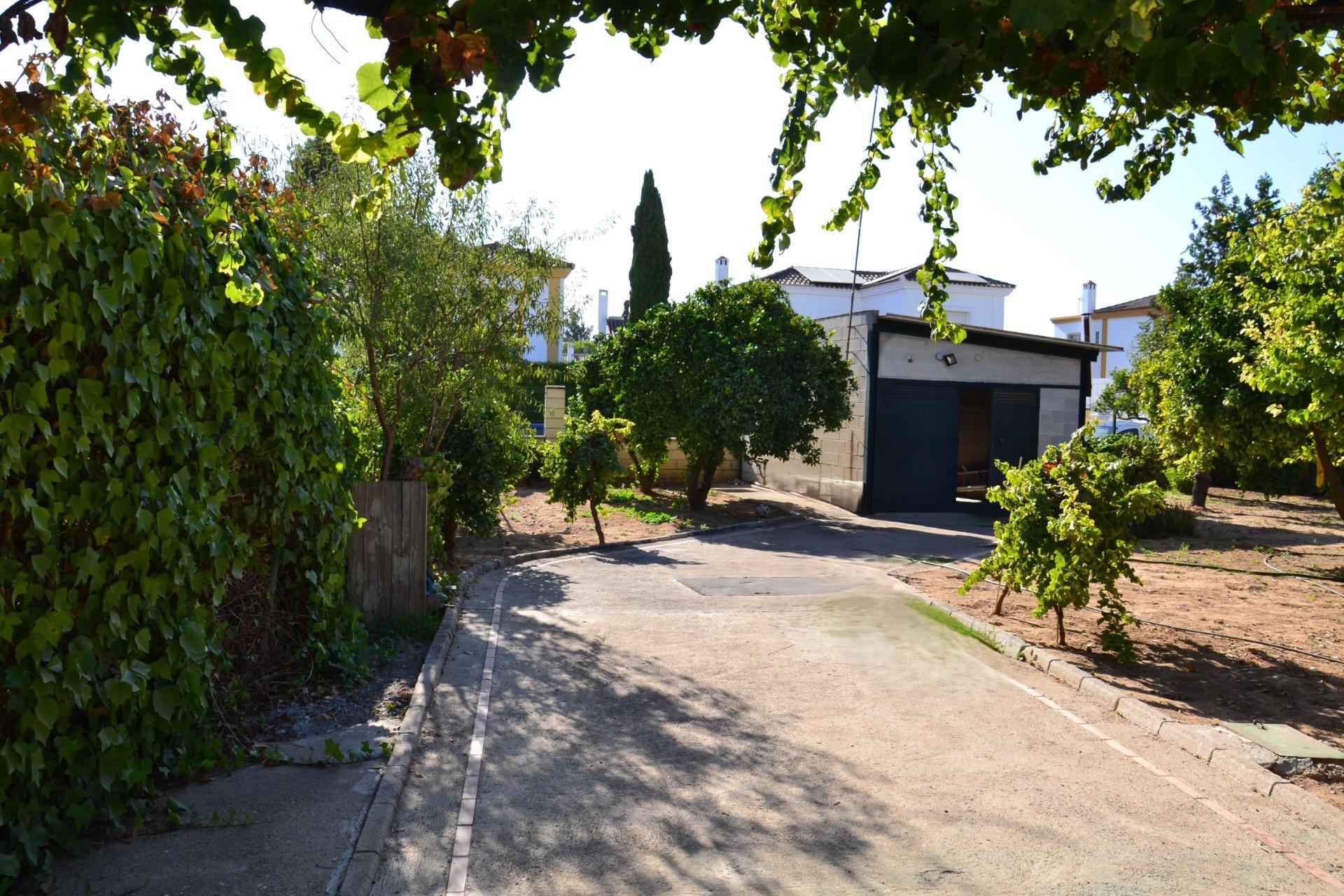 Fincas y solares-Venta-Espartinas-1867051-Foto-8