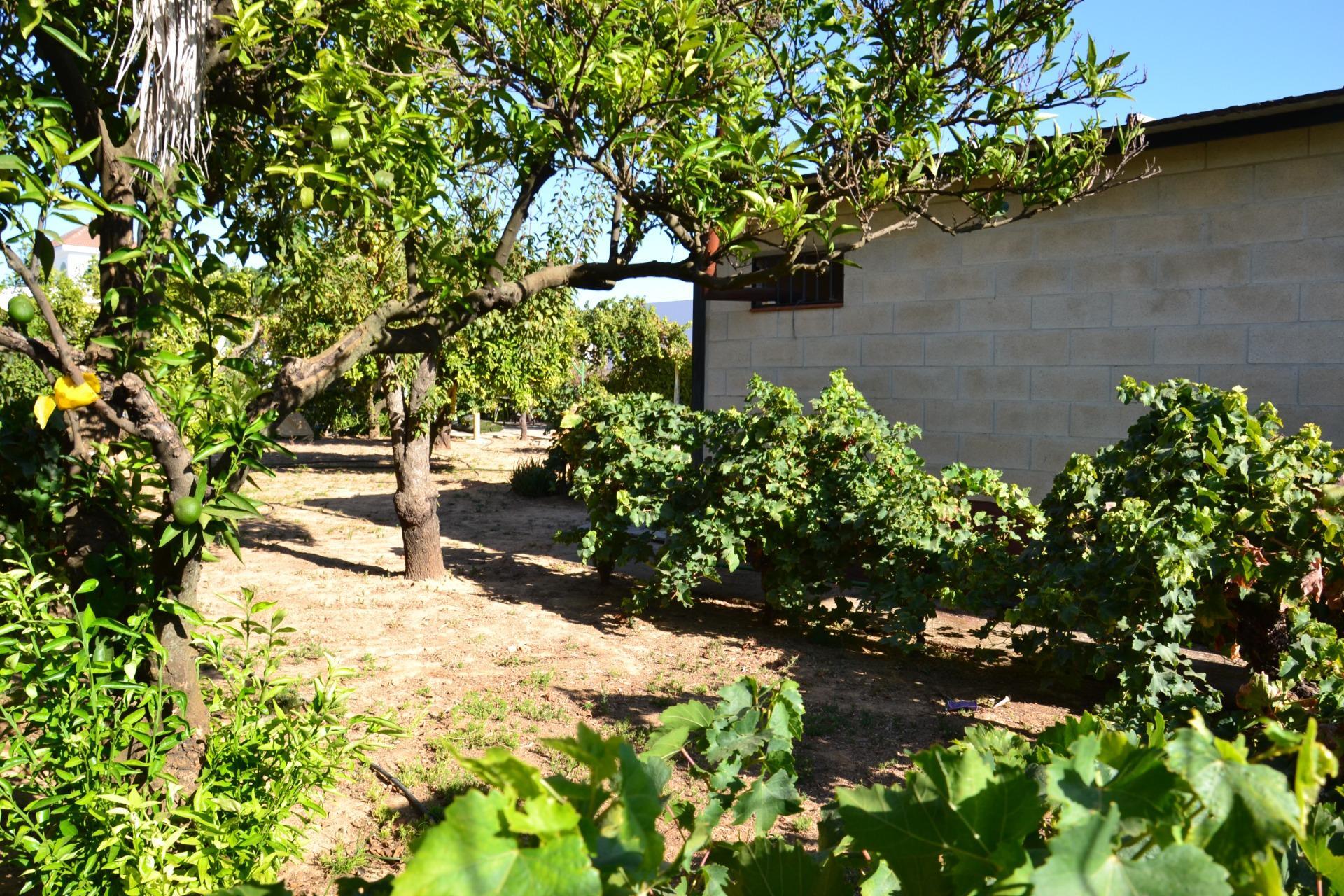 Fincas y solares-Venta-Espartinas-1867051-Foto-6