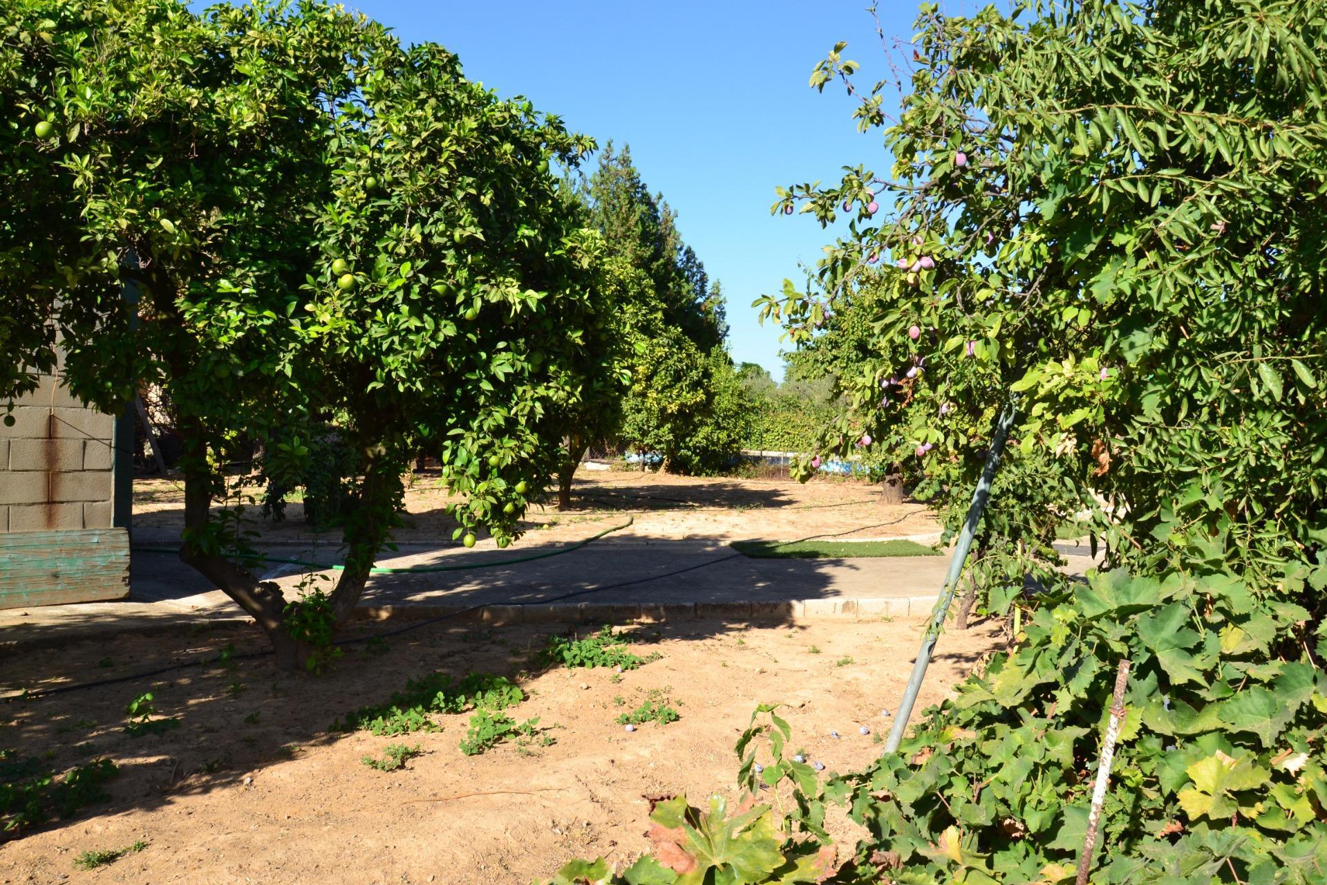Fincas y solares-Venta-Espartinas-1867051-Foto-10