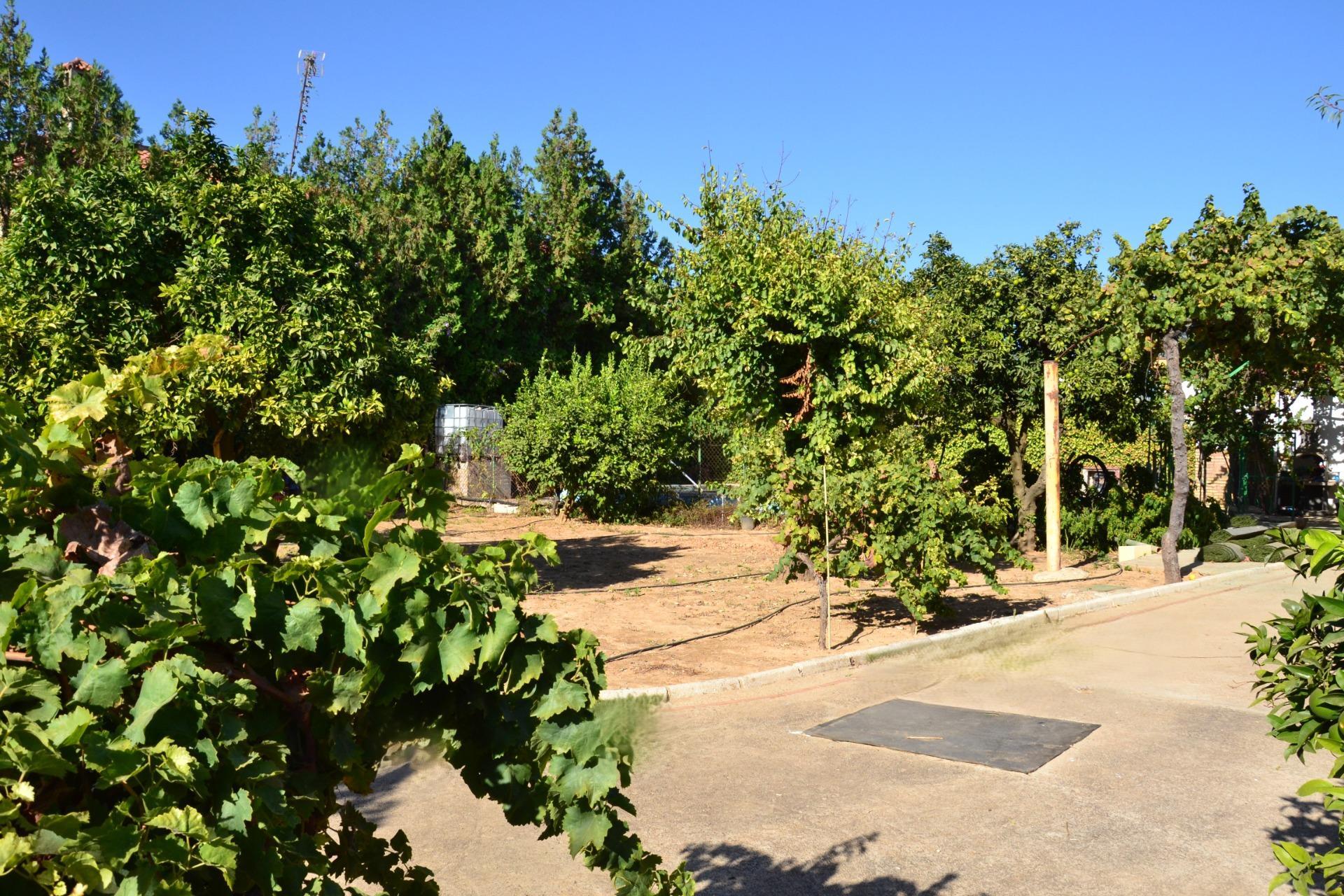 Fincas y solares-Venta-Espartinas-1867051-Foto-9