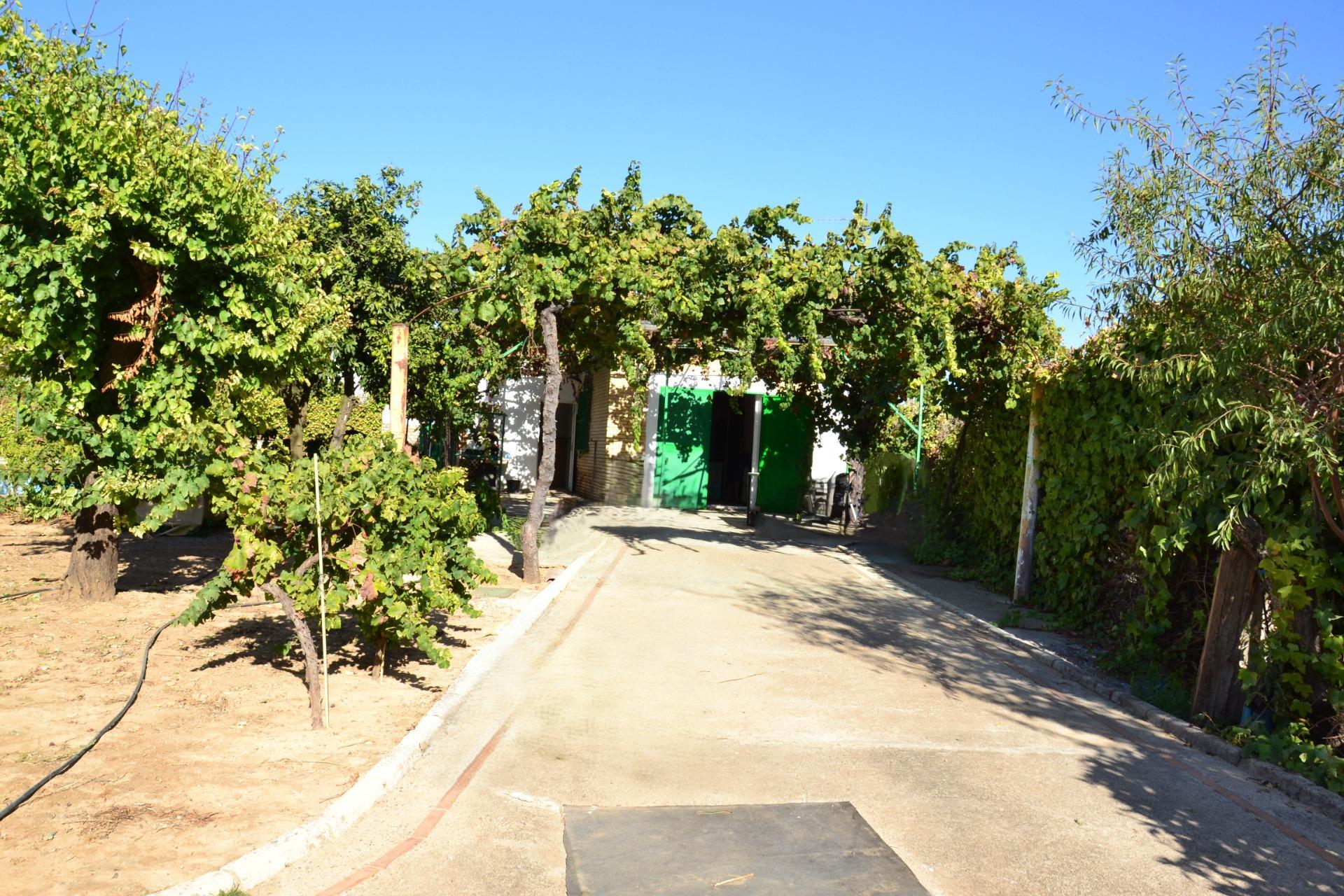 Fincas y solares-Venta-Espartinas-1867051-Foto-11