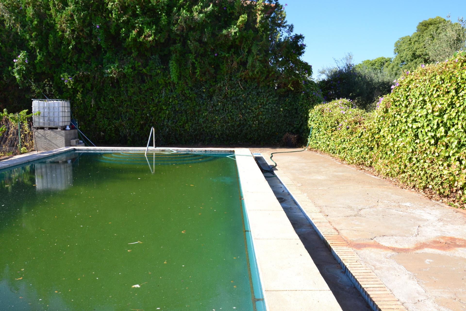 Fincas y solares-Venta-Espartinas-1867051-Foto-16