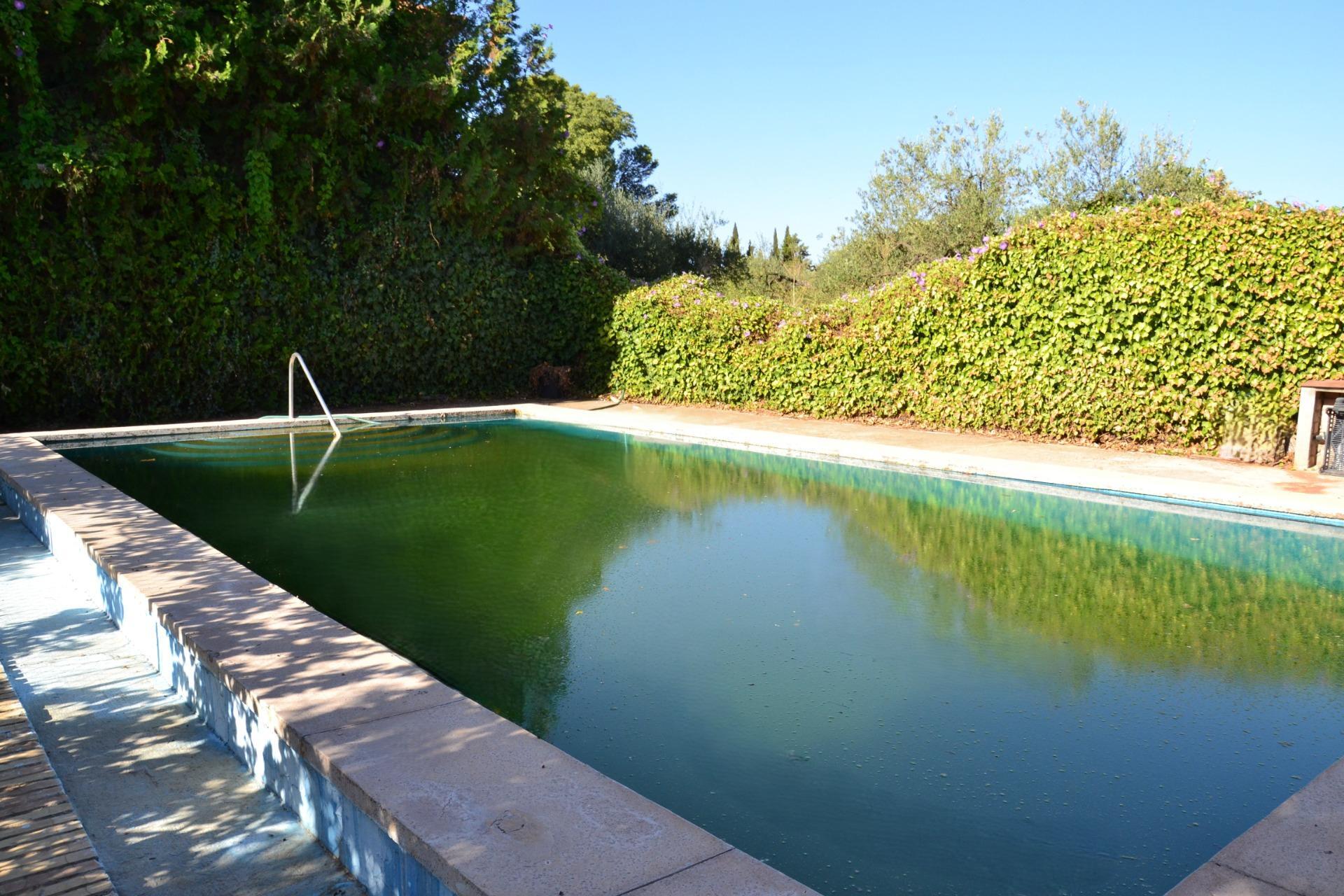 Fincas y solares-Venta-Espartinas-1867051-Foto-24