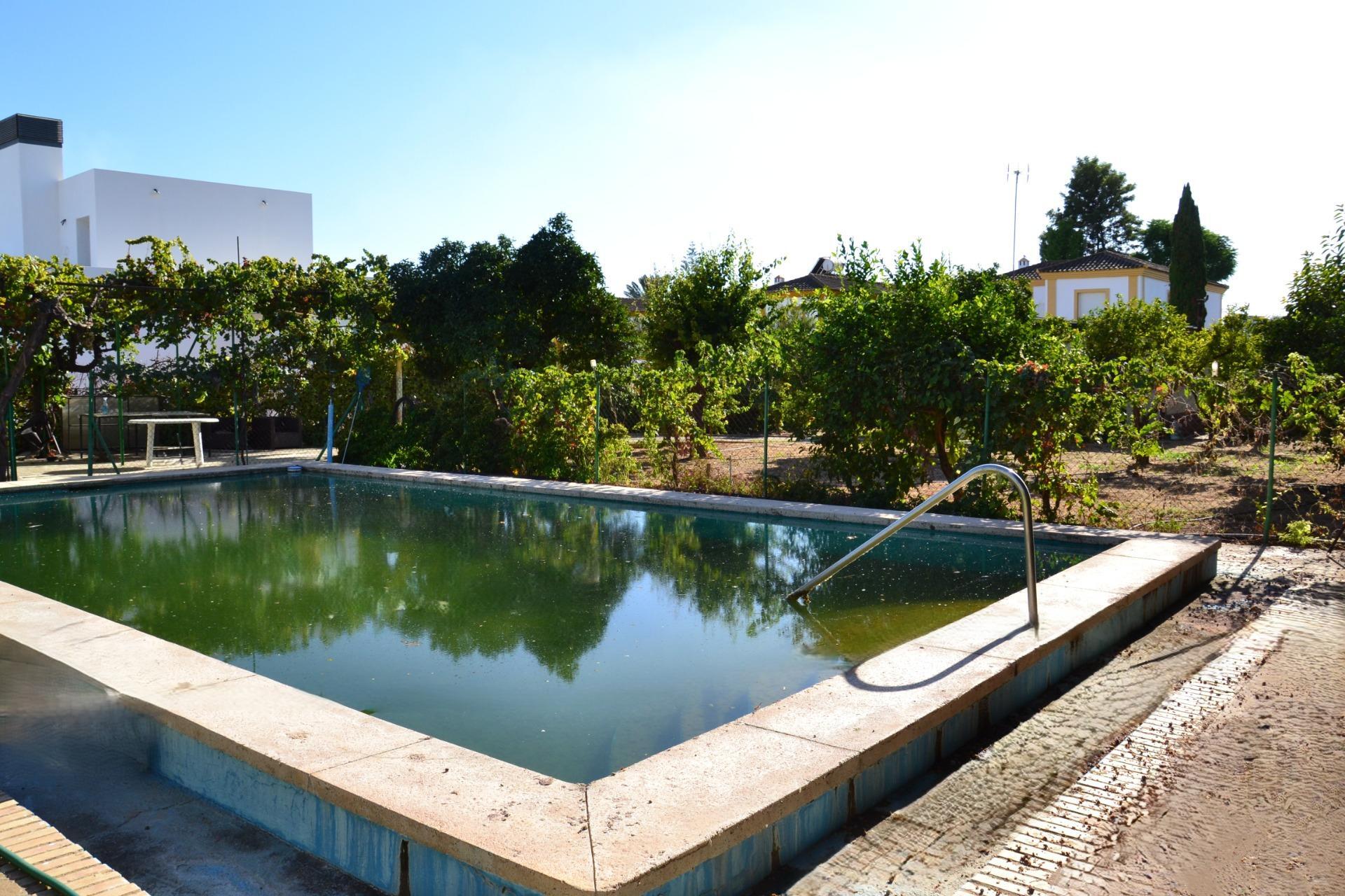 Fincas y solares-Venta-Espartinas-1867051-Foto-25