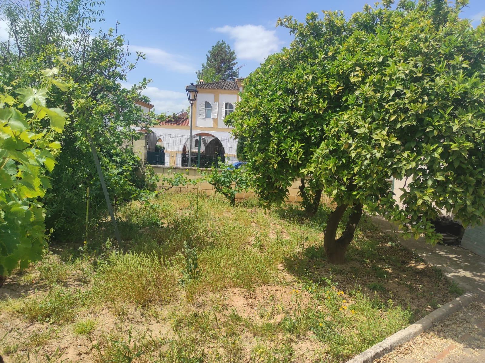 Fincas y solares-Venta-Espartinas-1867051-Foto-26