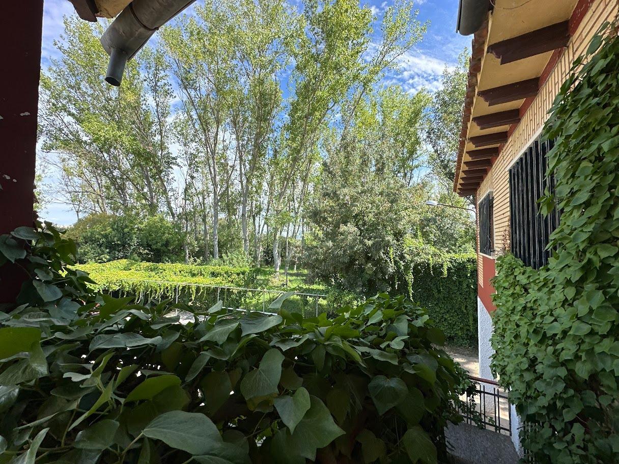 Pisos-Venta-Zaragoza-1865104-Foto-6