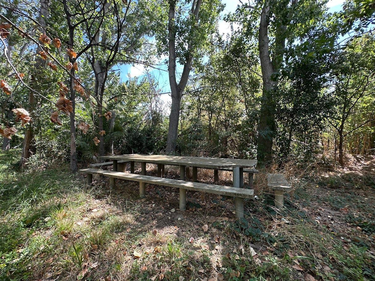 Pisos-Venta-Zaragoza-1865104-Foto-11