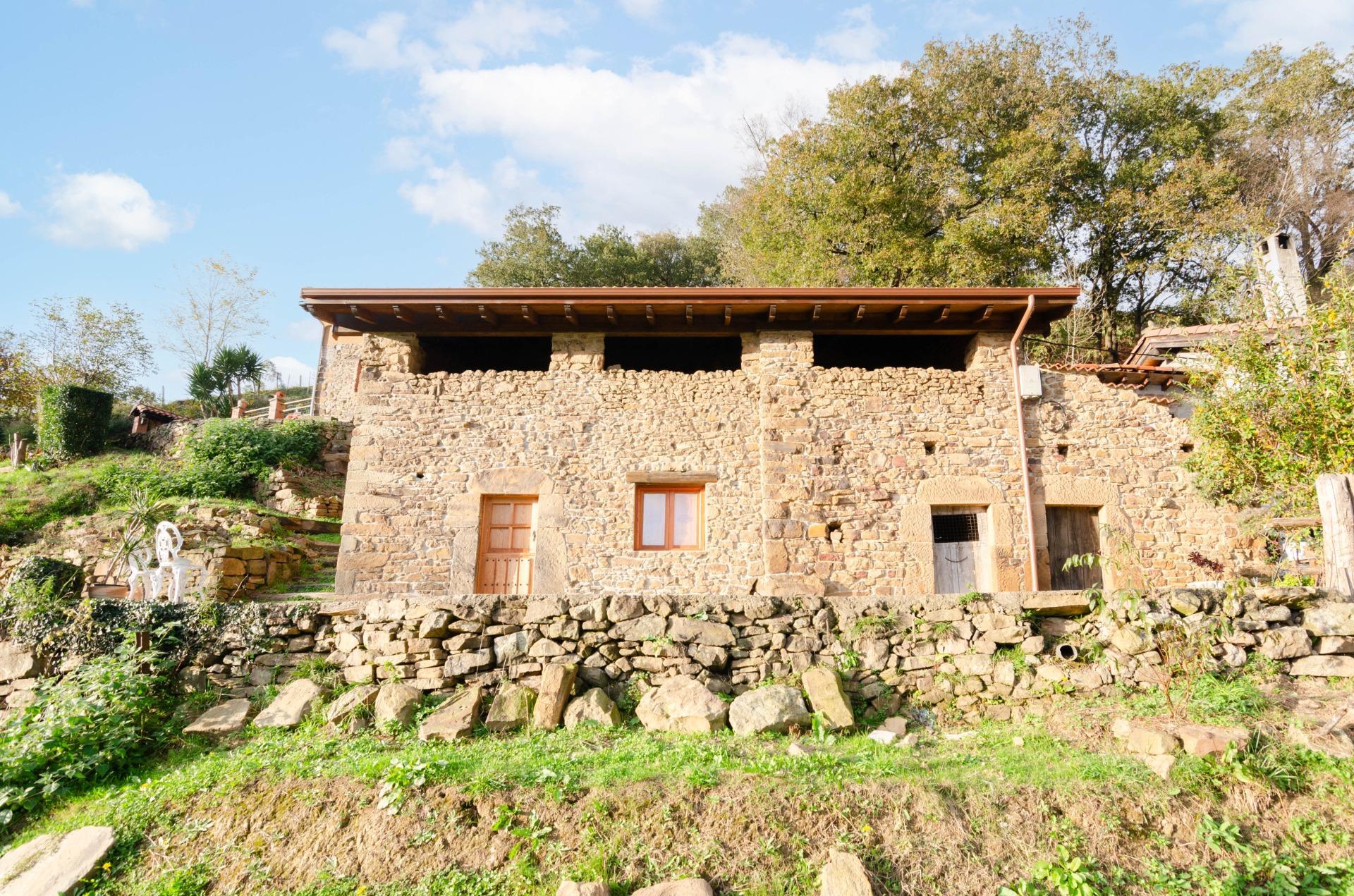 Casas o chalets-Venta-San Martín del Rey Aurelio-1480219