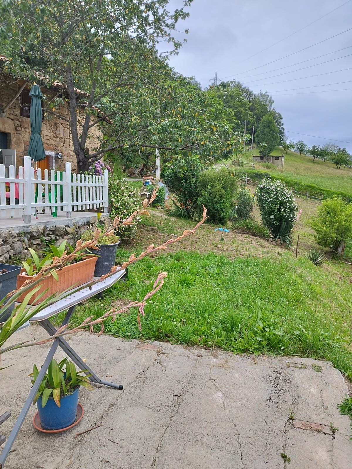 Casas o chalets-Venta-San MartÃ­n del Rey Aurelio-1480219-Foto-38
