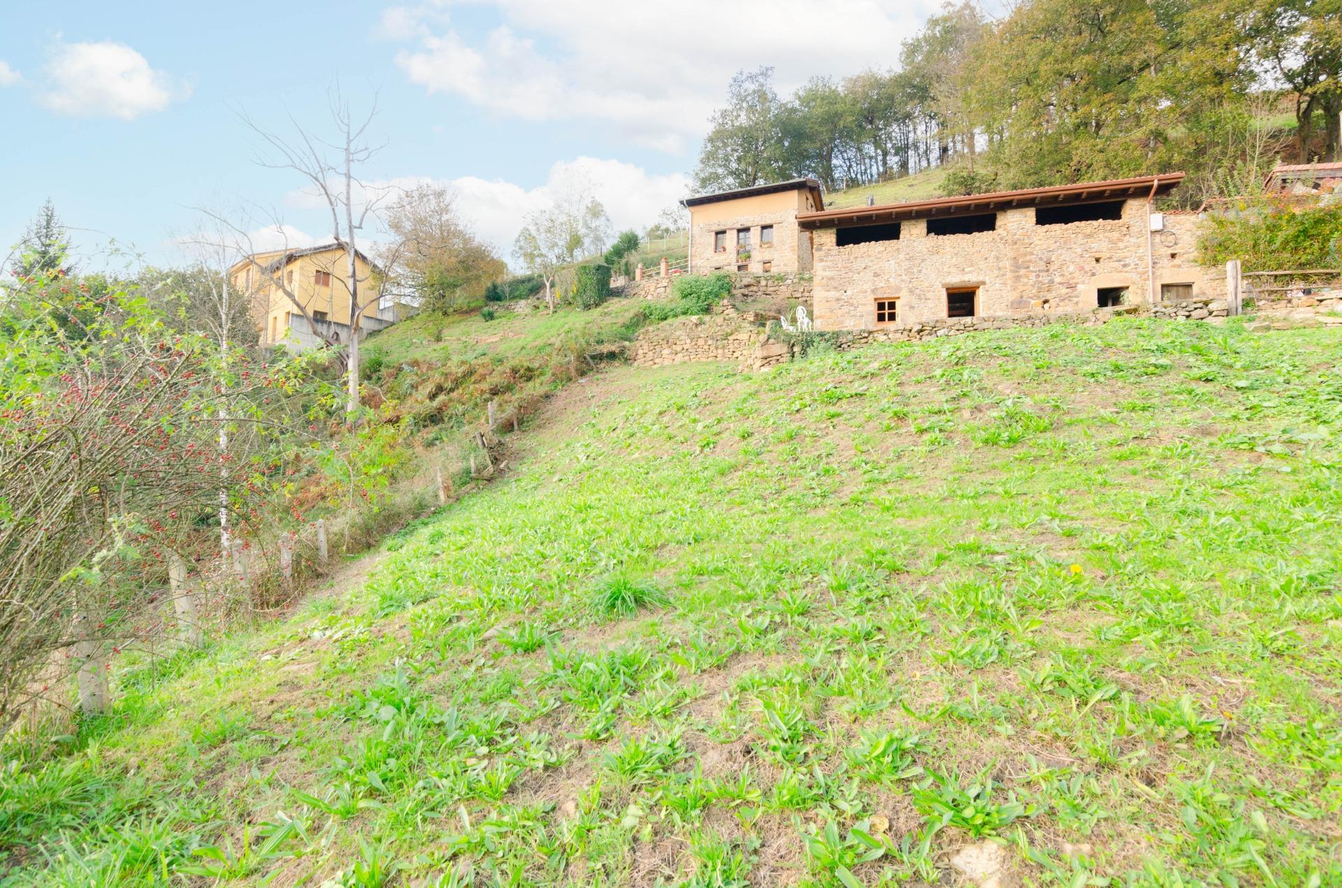 Casas o chalets-Venta-San MartÃ­n del Rey Aurelio-1480219-Foto-36