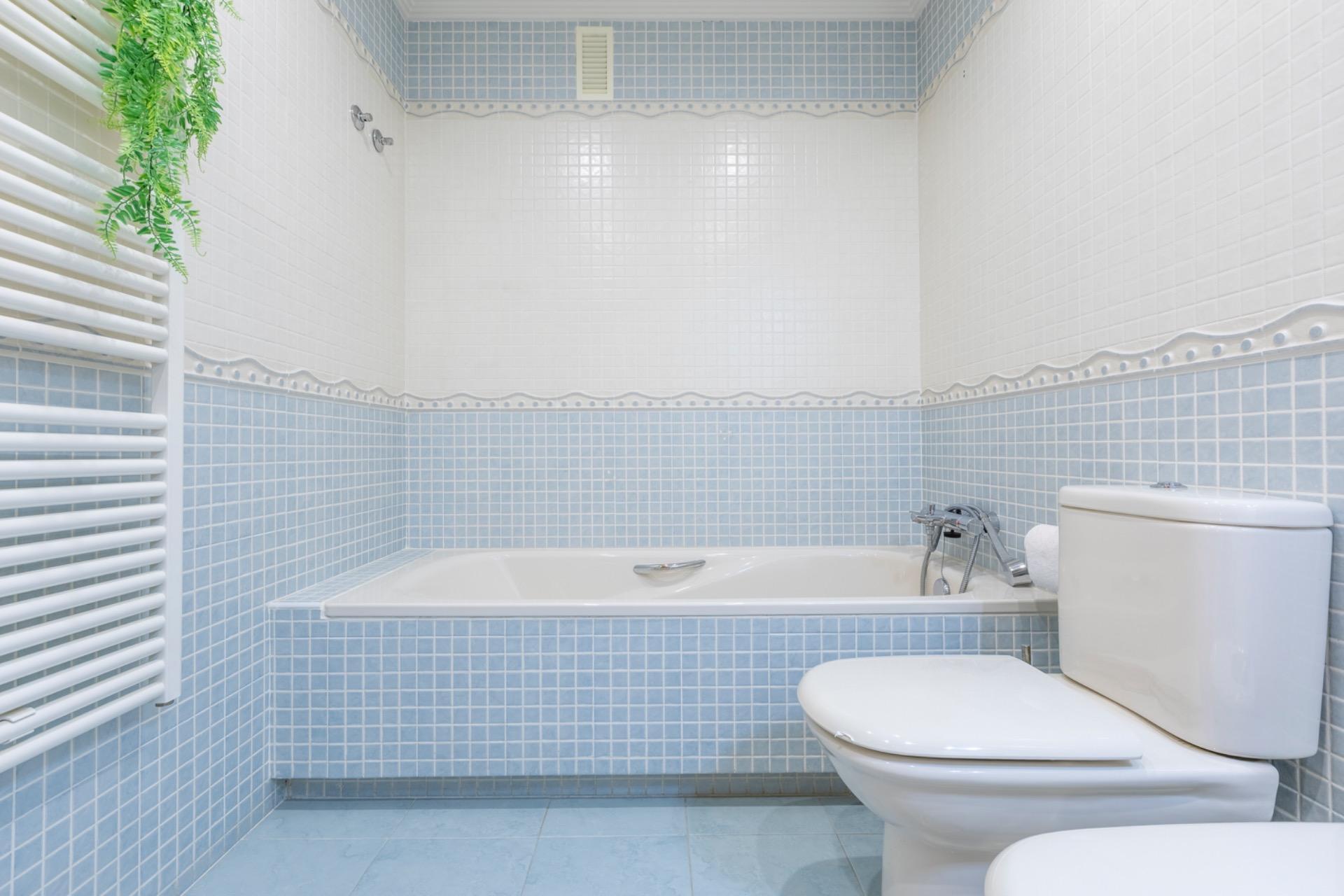 Casas o chalets-Venta-Laguna de Duero-1865005-Foto-56