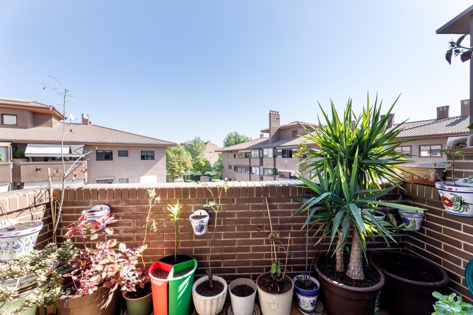 Pisos-Venta-Pozuelo de AlarcÃ³n-1865023-Foto-4