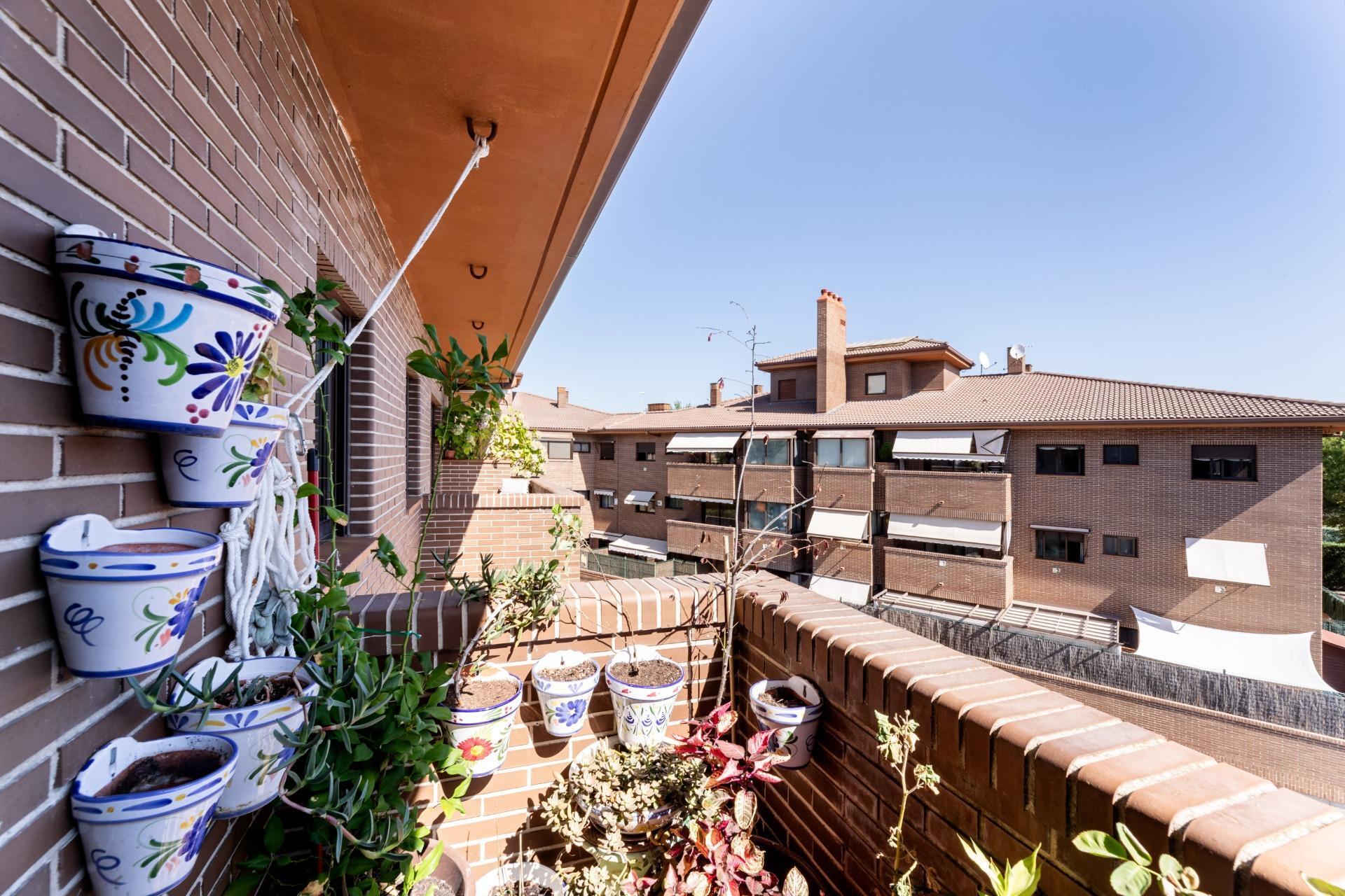 Pisos-Venta-Pozuelo de AlarcÃ³n-1865023-Foto-6