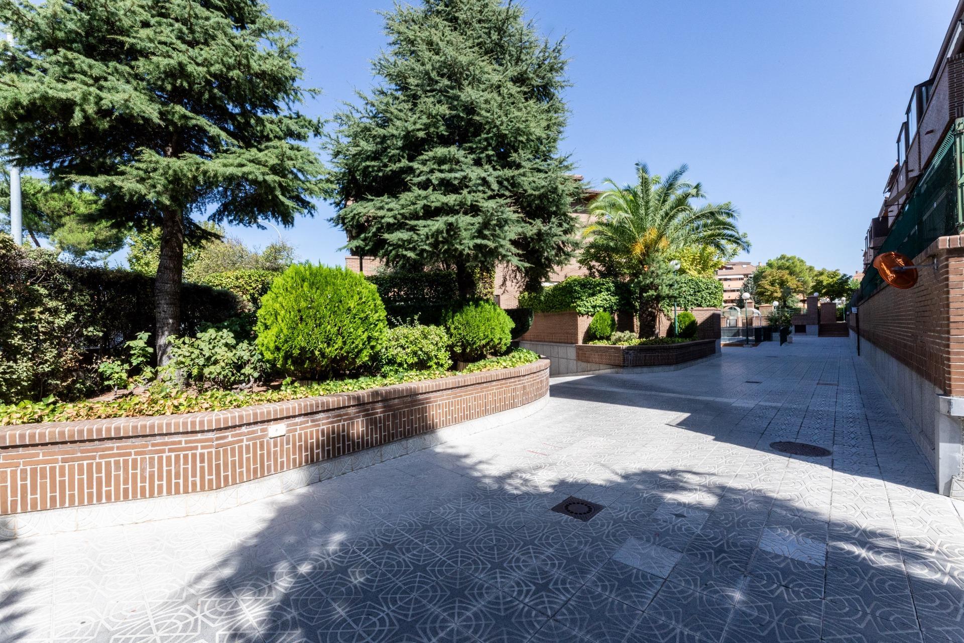 Pisos-Venta-Pozuelo de AlarcÃ³n-1865023-Foto-18