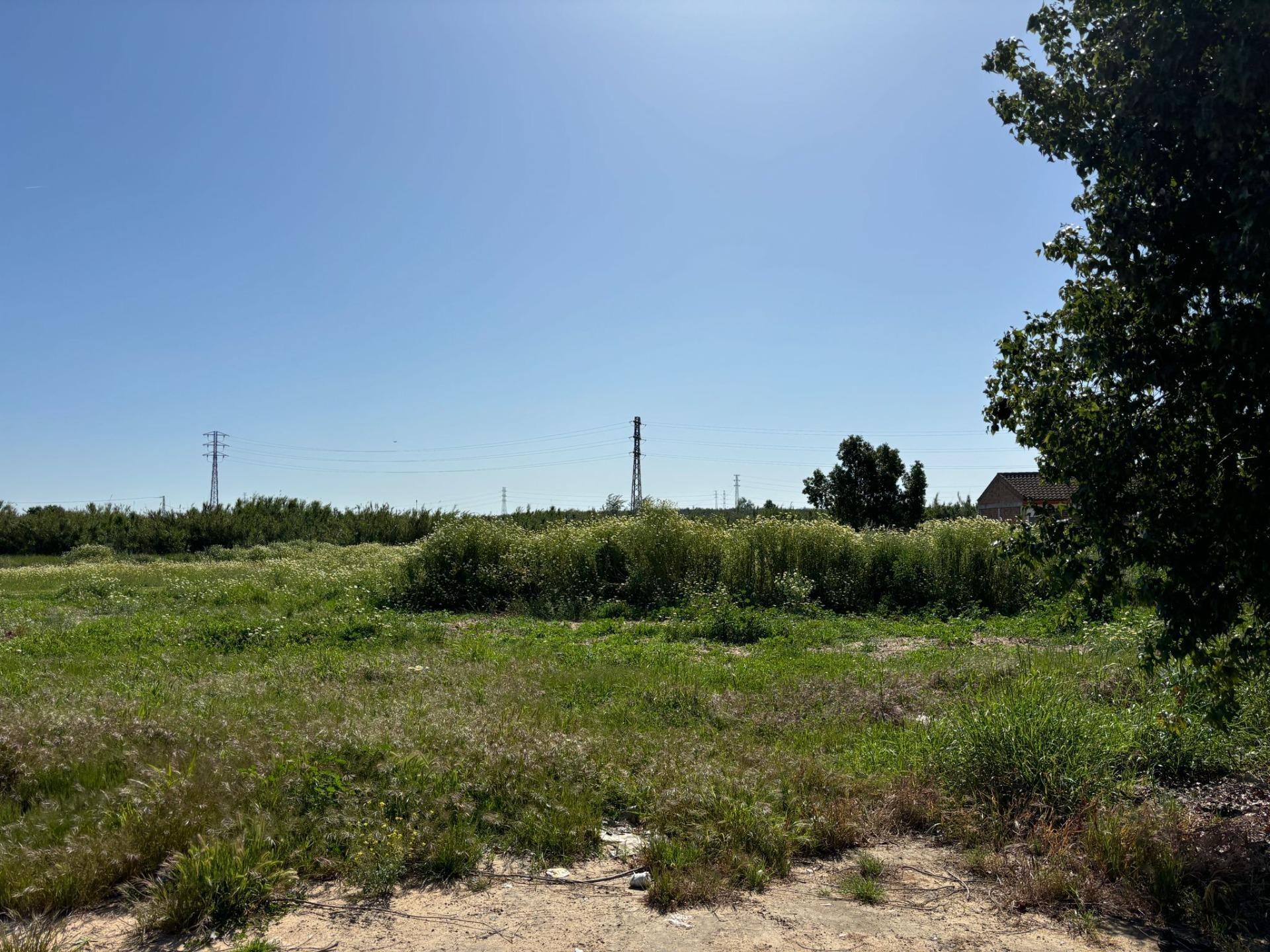 Fincas y solares-Venta-Bollullos de la Mitación-1726482