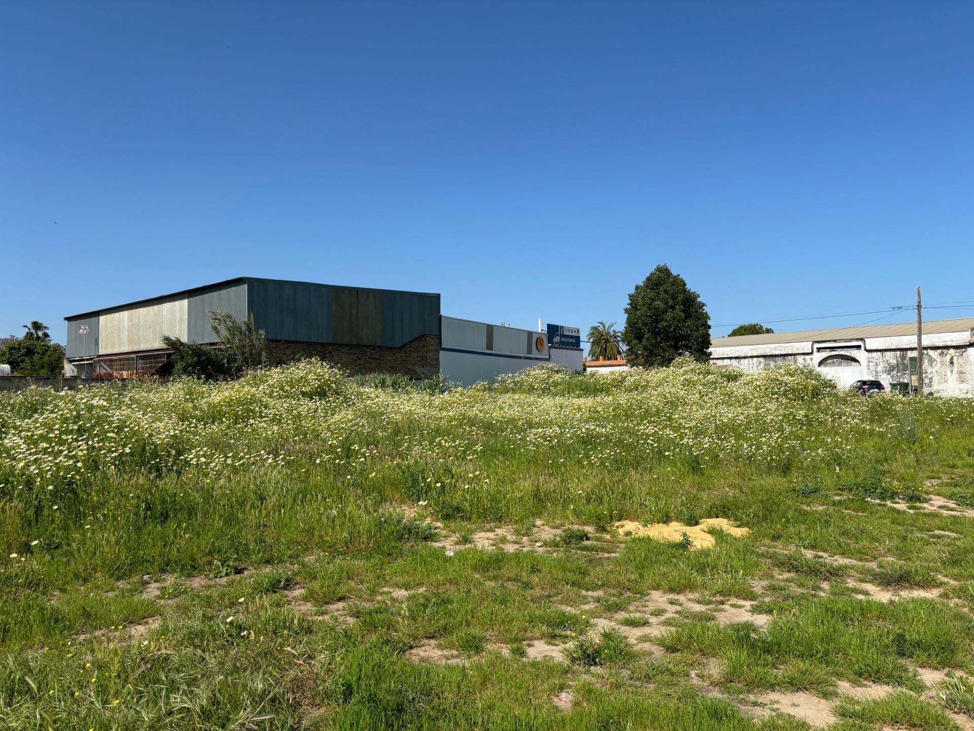 Fincas y solares-Venta-Bollullos de la MitaciÃ³n-1726482-Foto-3