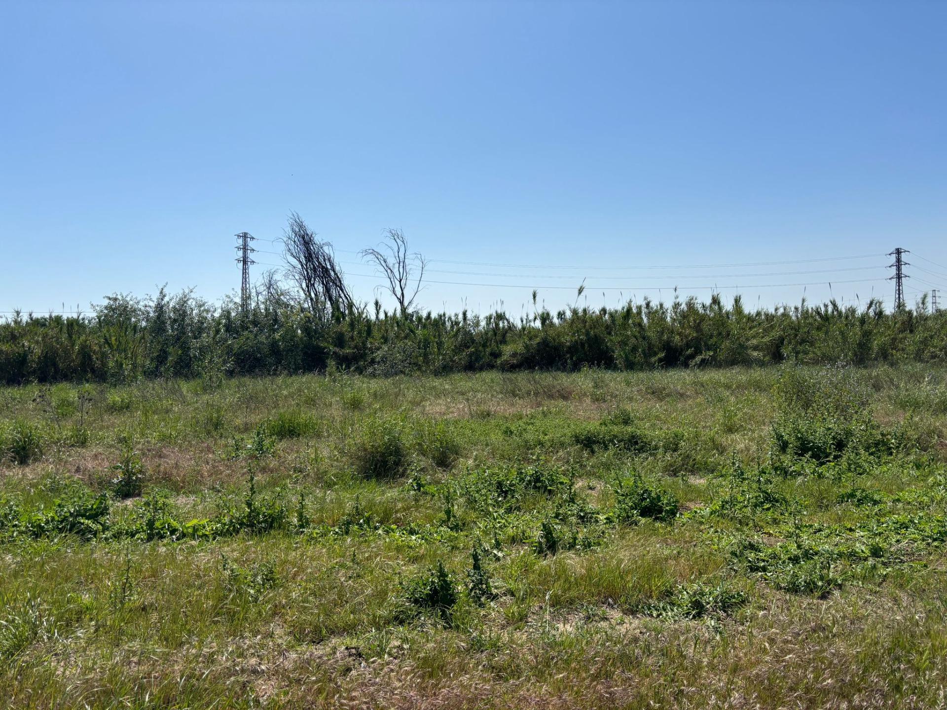 Fincas y solares-Venta-Bollullos de la MitaciÃ³n-1726482-Foto-5