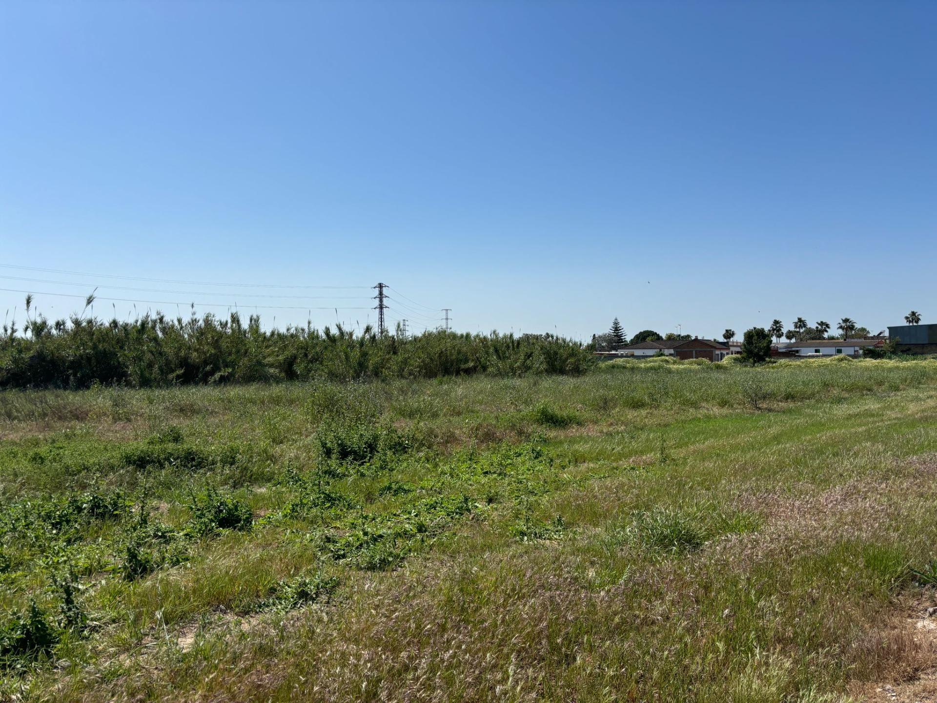 Fincas y solares-Venta-Bollullos de la MitaciÃ³n-1726482-Foto-9