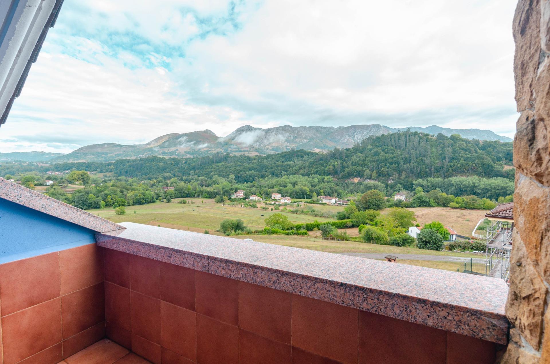 Casas o chalets-Venta-PiloÃ±a-1865026-Foto-8
