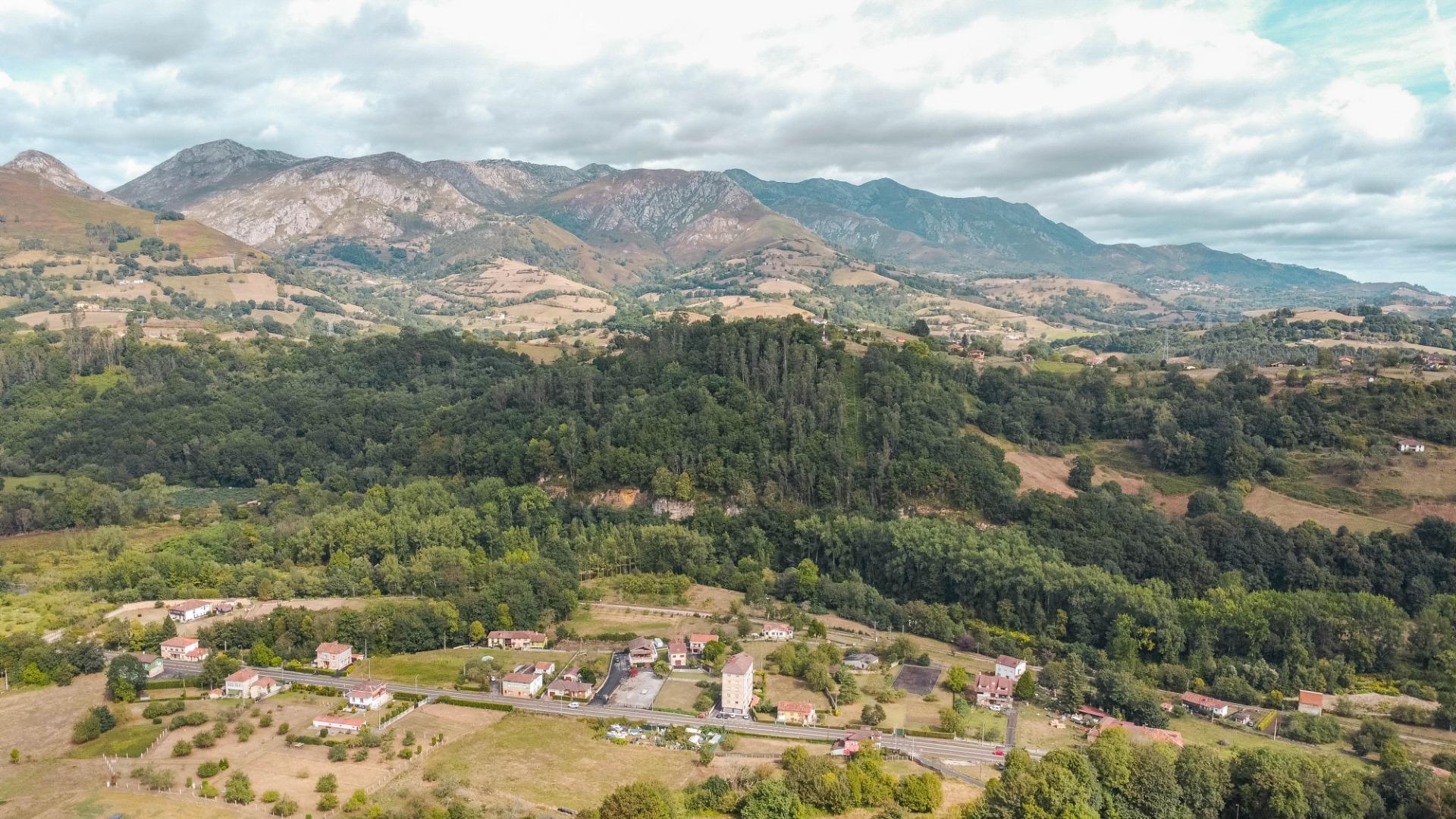 Casas o chalets-Venta-PiloÃ±a-1865026-Foto-49