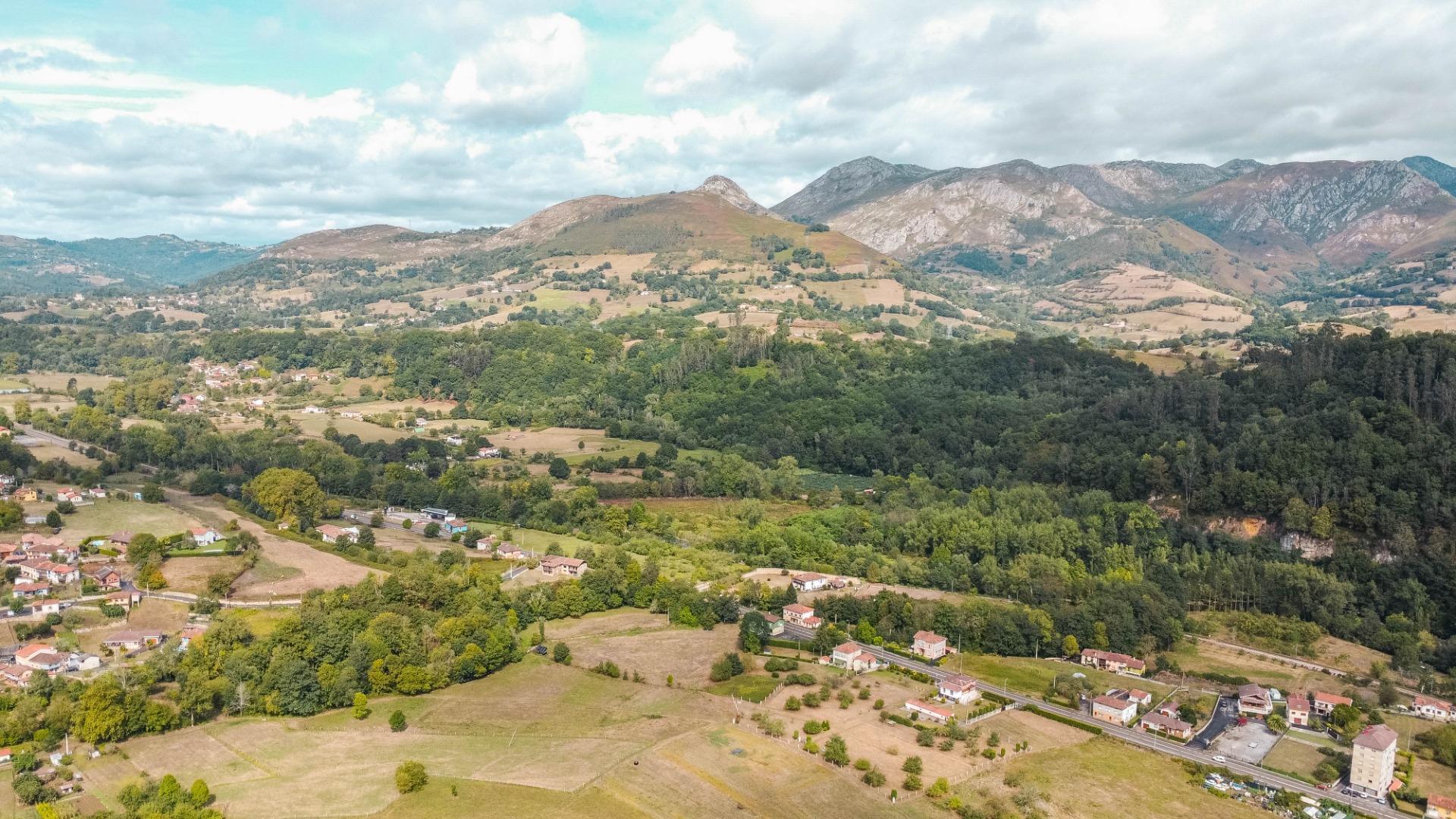 Casas o chalets-Venta-PiloÃ±a-1865026-Foto-48