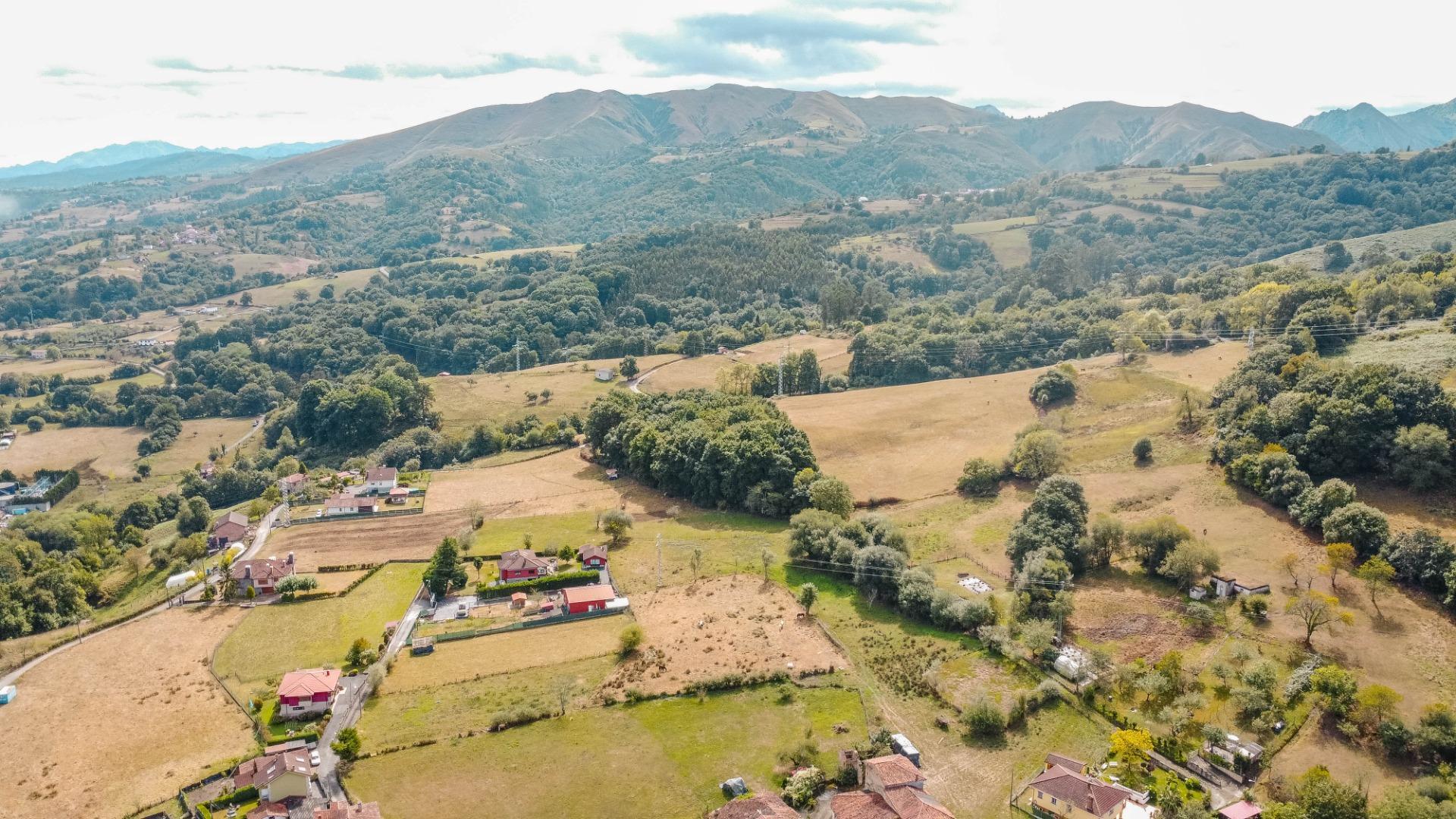 Casas o chalets-Venta-PiloÃ±a-1865026-Foto-53