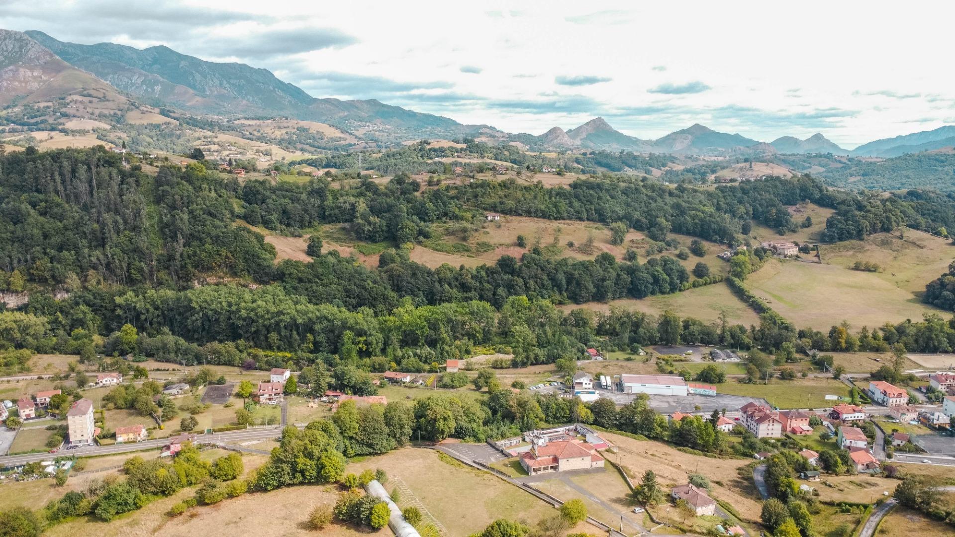 Casas o chalets-Venta-PiloÃ±a-1865026-Foto-50